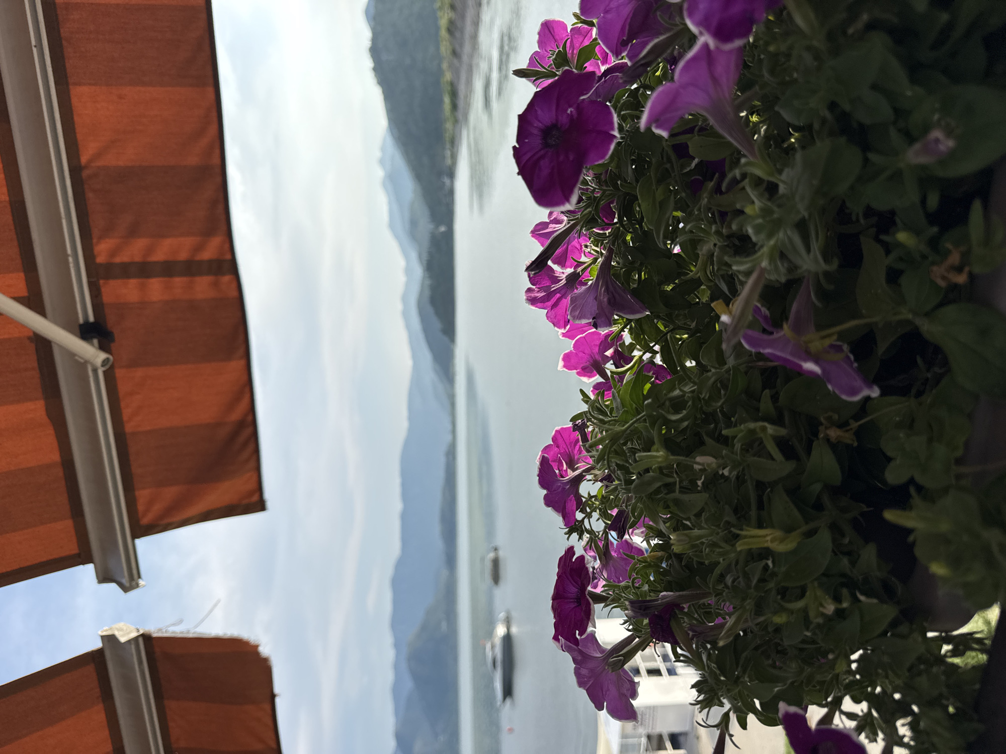 The image depicts a waterfront scene in Vranjina, Montenegro, with a focus on a planter of purple petunias in the foreground. In the middle ground, a calm body of water is visible, with two boats, one a speed boat, anchored or moving slowly. Beyond the water, rolling hills and mountains form a hazy silhouette against a bright sky. Overhead, parts of two orange striped awnings are visible, suggesting a covered outdoor seating area. The overall atmosphere is serene and suggests a peaceful day by the water.