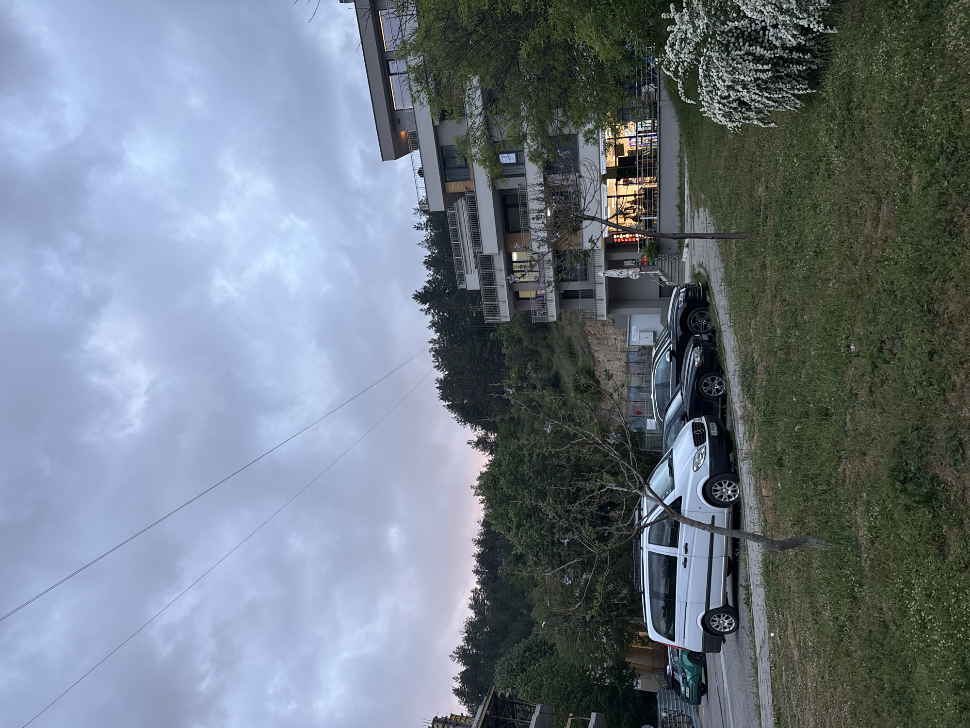 The image captures an urban scene in Blagoevgrad, Bulgaria, likely taken at dusk given the dim lighting and overcast sky. A multi-story building with balconies and commercial space on the ground floor is visible. Several parked vehicles line the street, including a white van, a dark SUV, and a green vehicle. A bare-branched tree stands between the vehicles and the building. Grass and vegetation are abundant on the right side of the image, suggesting a park or green space. Overhead, power lines stretch across the sky.