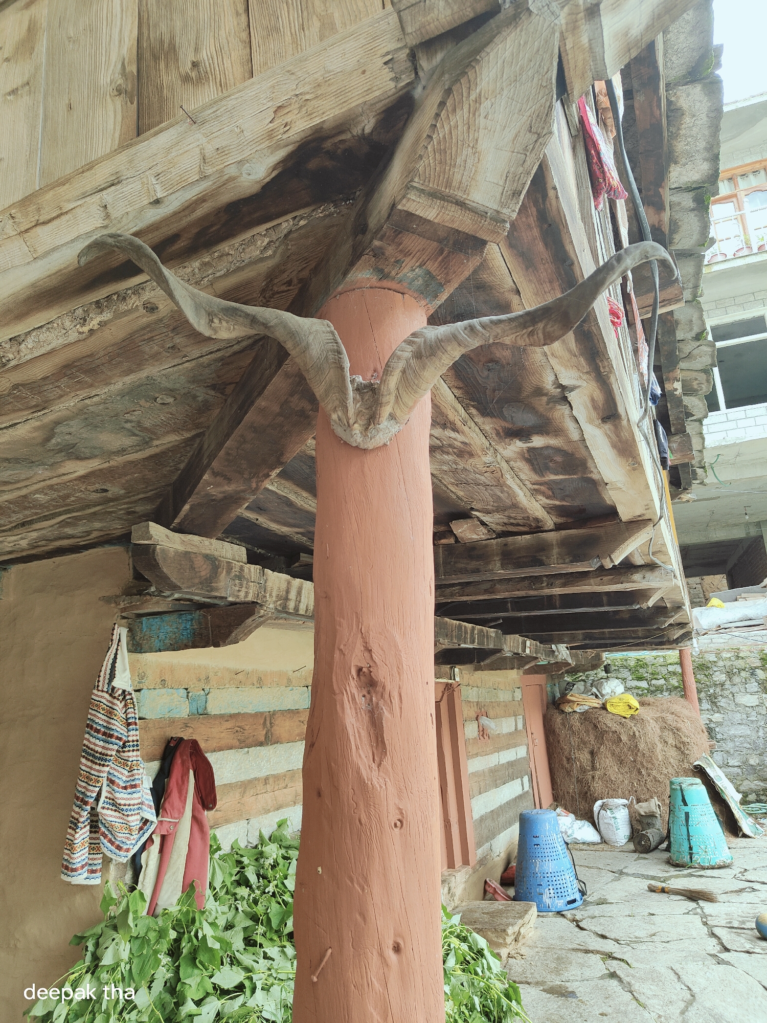 The image depicts a rustic wooden structure, possibly a porch or balcony, in the village of Vashisht, India. A large, weathered set of animal horns, likely from a ram or goat, is mounted prominently on a thick, reddish-brown wooden pillar that supports the upper structure. The wooden beams and planks of the building show signs of age and wear, with visible grain, knots, and some staining.
Hanging on the wall behind the pillar are several pieces of fabric, including a brightly patterned textile and a red garment. Below the hanging fabrics and in front of the pillar, a large pile of green leafy vegetables is visible, suggesting a recent harvest or preparation for cooking.
The ground in front of the structure is paved with stone slabs, some of which appear cracked and weathered. Scattered on the ground are various objects, including a blue plastic basket, a pile of hay or straw in the background, several sacks, and two conical, turquoise-colored objects. A broom lies on the ground near the blue basket. A modern building with windows and balconies is visible in the upper right portion of the image, indicating the coexistence of traditional and contemporary architecture in the area. The overall impression is one of a rural, lived-in environment.