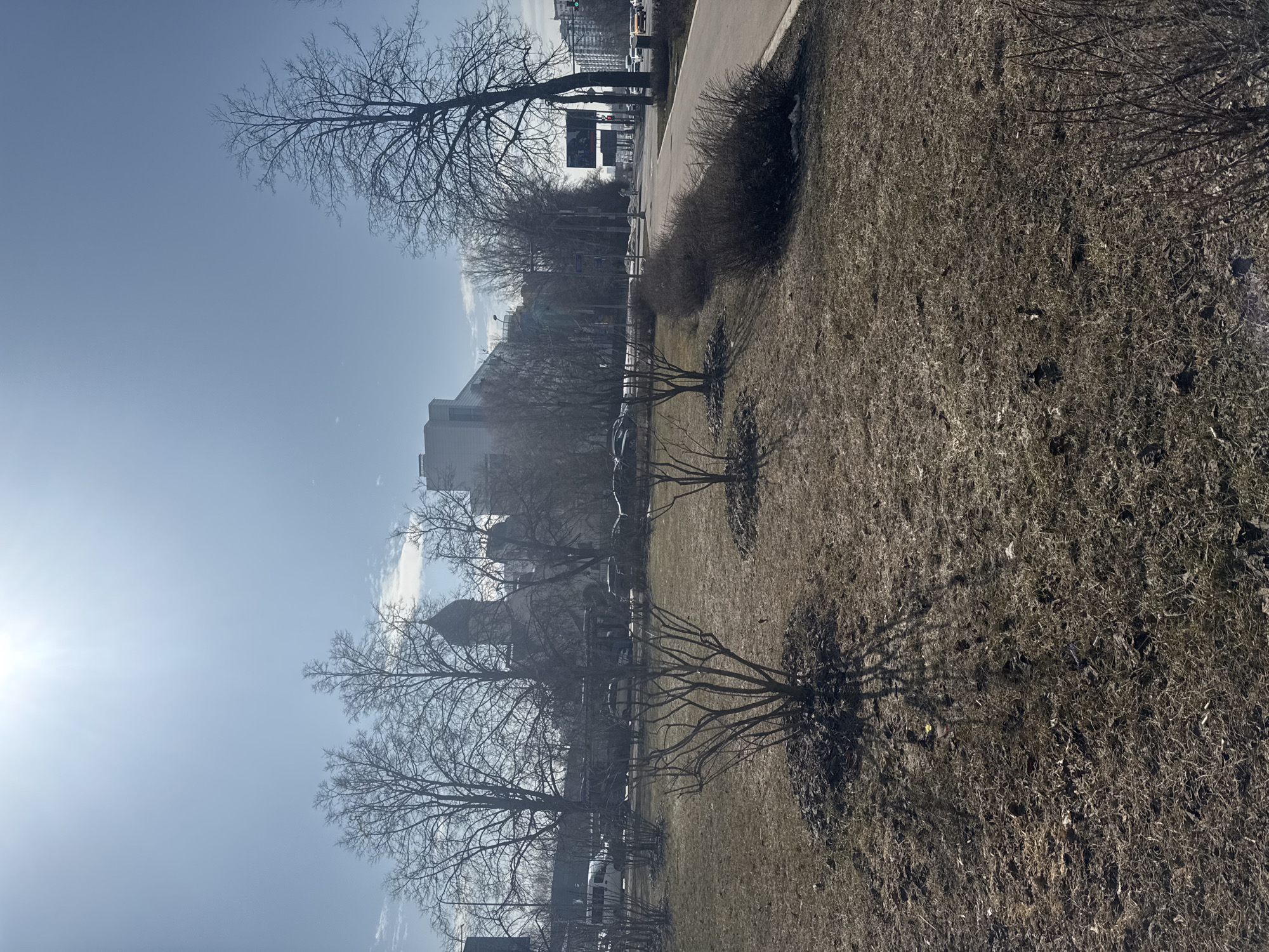 The image depicts an urban street scene in Moscow, Russia, specifically the area near the Church of the Archangel Michael in Troparyovo, adjacent to Vernadskogo Avenue. The sky is clear blue with a bright sun, visible in the upper left, causing a lens flare and casting long shadows across the ground.
The foreground consists of dry, dormant brown grass. Several small, bare deciduous bushes are scattered across this area, some with dark mulch rings at their bases.
In the midground, a white-walled church with a dark, onion-shaped dome and cross is visible, partially obscured by numerous tall, bare deciduous trees. To the left of the church, a modern, light-colored building with a geometric facade is present. To the right, a paved pedestrian path runs parallel to a multi-lane asphalt road. Multiple vehicles, including cars and a white van, are present on the road, with some appearing in motion. A single individual in light-colored clothing is observed walking on the pedestrian path in the mid-distance. Street furniture includes streetlights, various street signs, traffic lights displaying a green signal, and a large billboard.
The background shows additional multi-story urban buildings and distant bare trees.