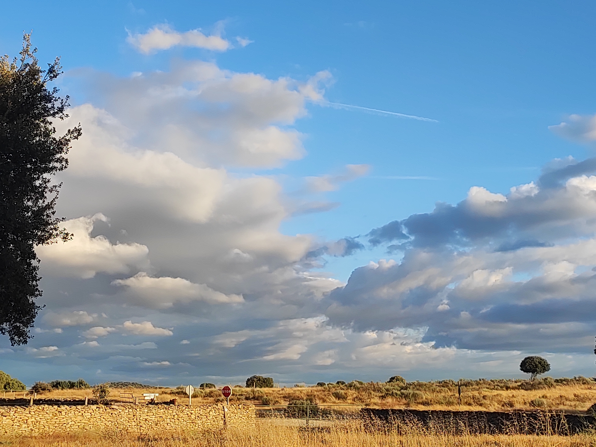 The image depicts a rural landscape with a stone wall in the foreground and dry grass fields extending towards a distant horizon. The sky is a vibrant blue, populated by a mix of fluffy white and darker, heavy clouds. A faint contrail from an aircraft is visible in the upper right quadrant. In the mid-ground, there is a small cluster of trees and bushes, and a solitary, rounded tree stands prominently on the horizon. A stop sign and a road marker are situated near the stone wall on the left side of the frame. The overall impression is of a natural setting under a dramatic sky, likely in the countryside of Sobradillo, Spain, given the visual characteristics of the vegetation and the stone construction. There are no people or animals visible in the scene.
