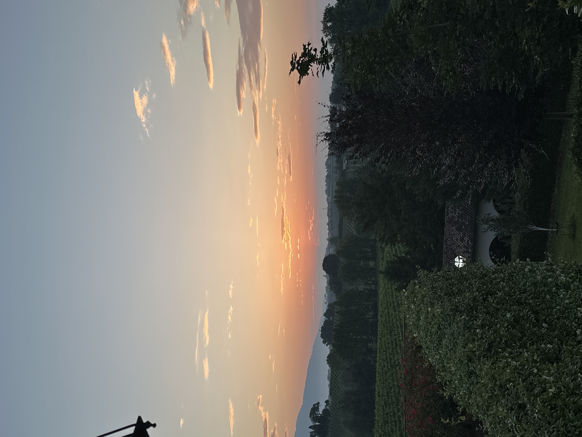 The image depicts a sunset over the rolling hills of Conegliano, Italy. The sky is a gradient of soft blues and oranges, with scattered clouds tinged by the setting sun. In the foreground, lush green trees and bushes frame the scene, with a glimpse of a white building with a tiled roof and a distinctive circular window visible through the foliage. Rows of vineyards stretch across the middle ground, indicative of the region's wine production. A distant mountain range is silhouetted against the hazy horizon. The overall atmosphere is serene and tranquil.