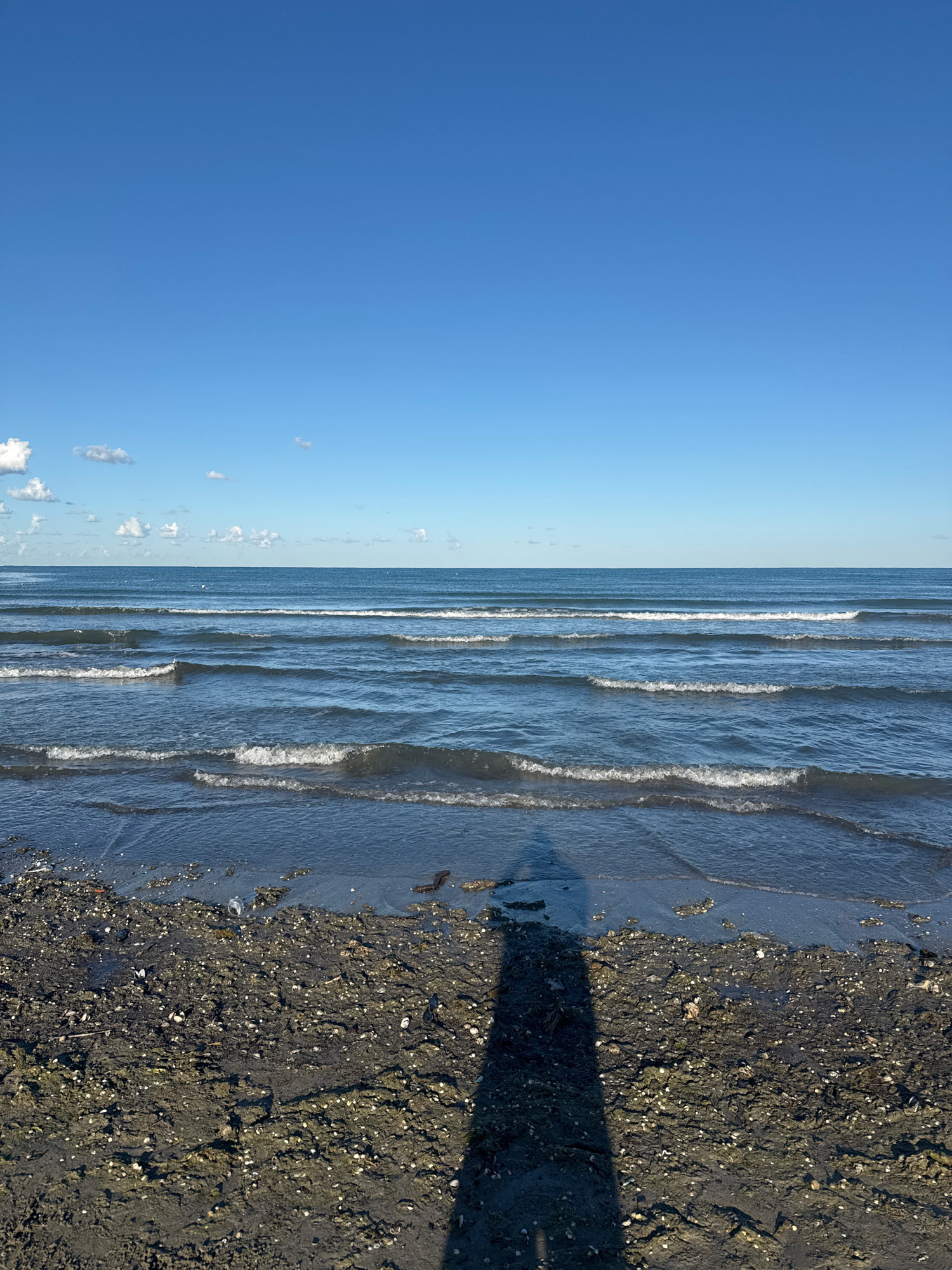 The image depicts a serene beach scene under a clear blue sky with a few scattered white clouds. Gentle waves roll towards a dark, coarse-grained shore composed of sand and small shells. In the foreground, a long, dark shadow stretches across the beach, suggesting the presence of a person standing near the viewer. The horizon line is sharp, dividing the vast expanse of the sky from the tranquil sea. The environment is peaceful and natural, with no artificial structures or significant human presence other than the implied figure.