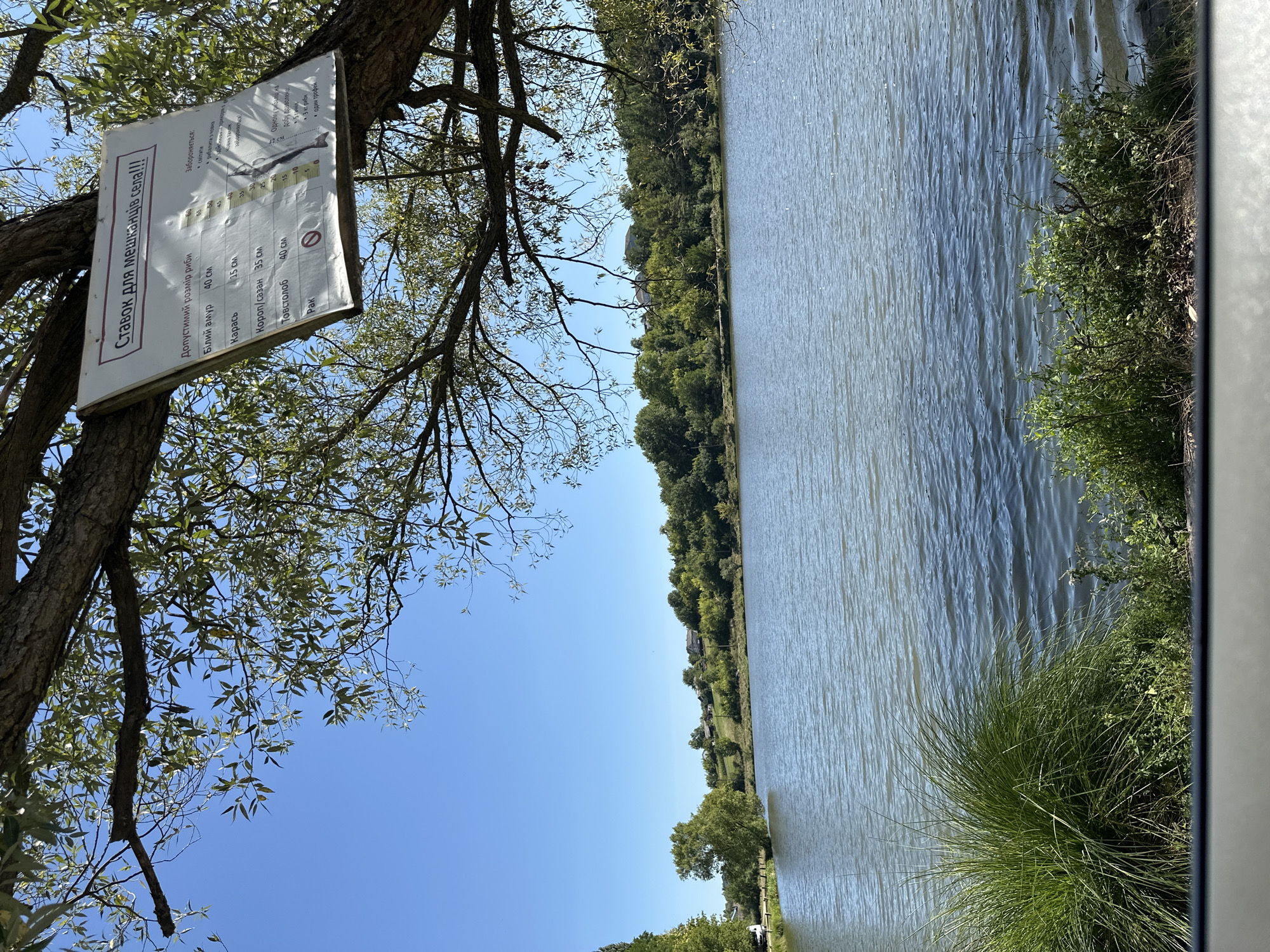 An outdoor, medium-shot photograph captures a clear blue sky above a calm lake on a sunny day. A large tree branch with green leaves extends from the upper left corner of the frame, obscuring part of the sky. Attached to the branch is a white sign with red and black text, which appears to be rules or information about fishing in the pond. The sign is angled and slightly weathered. The lake takes up the majority of the lower half of the image, its surface rippled by a gentle breeze. On the far bank of the lake, a line of trees and some houses are visible, suggesting a rural or semi-rural setting. The foreground features tall green grass and other vegetation along the water's edge. The scene is peaceful and evokes a sense of nature and recreation. The sign is in Ukrainian and mentions the village of Makiv, Ukraine.