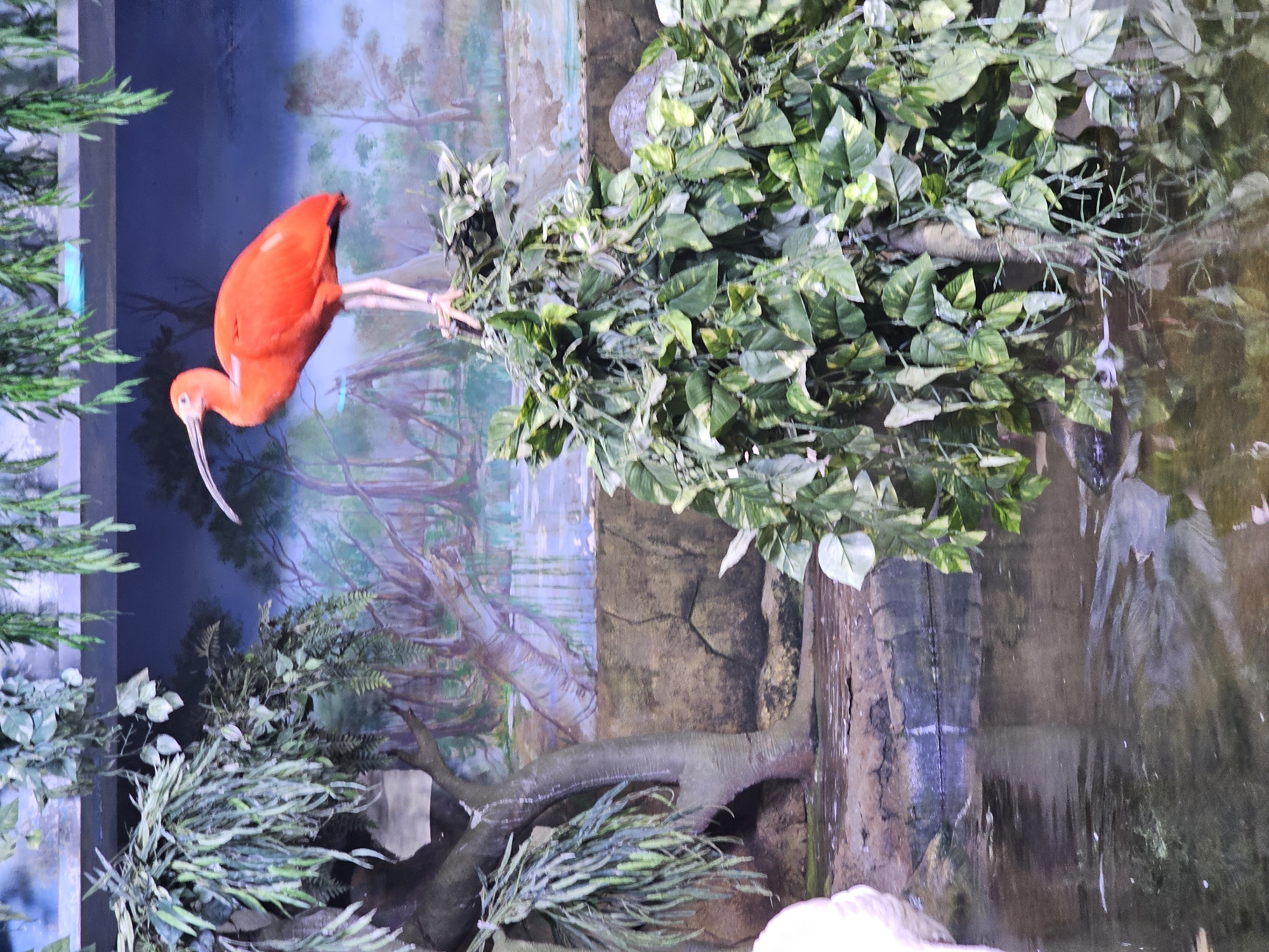 A diorama-like scene containing a scarlet ibis perched on a branch with green leaves is visible. The background depicts a painted mural of a forest scene. The lower portion of the image presents additional vegetation and an area resembling a body of water with reflections. The location is not indicated in the scene and cannot be identified from the provided image.