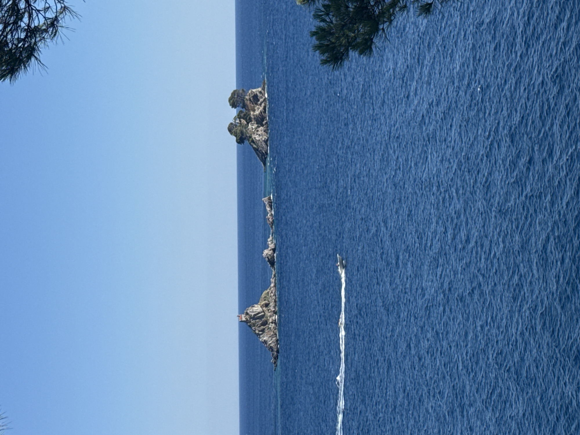This is a scenic photograph of the Adriatic Sea off the coast of Petrovac na Moru, Montenegro. Two small, rocky islands are visible in the distance. The left island features a small, red-roofed structure atop its peak. The right island is covered with green trees. In the foreground, a white motorboat with several occupants is creating a white wake as it travels across the deep blue water. The sky is clear and blue. The image is framed by dark green pine branches in the upper right corner and a hint of branches in the lower right corner.