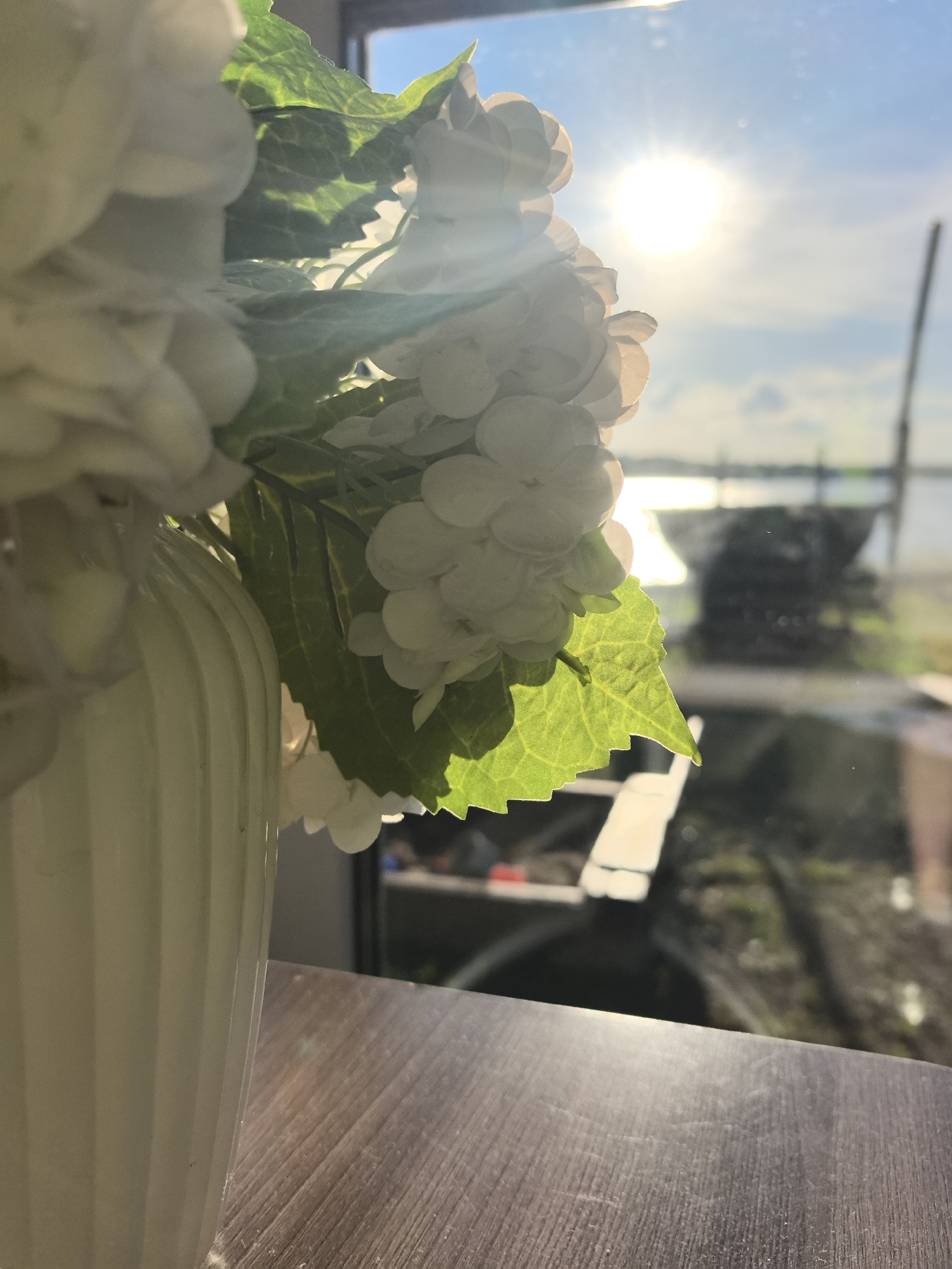 In Chaikovsky, Russia, a close-up shot focuses on a bouquet of white hydrangeas in a fluted white vase, placed on a dark wood surface. Sunlight streams in from a window, illuminating the flowers and casting a glow on a green leaf in the foreground. Through the window, a body of water with a distant dark structure, possibly a boat or pier, is visible under a bright, sunlit sky. The overall scene suggests an indoor setting with a view of an outdoor waterfront.