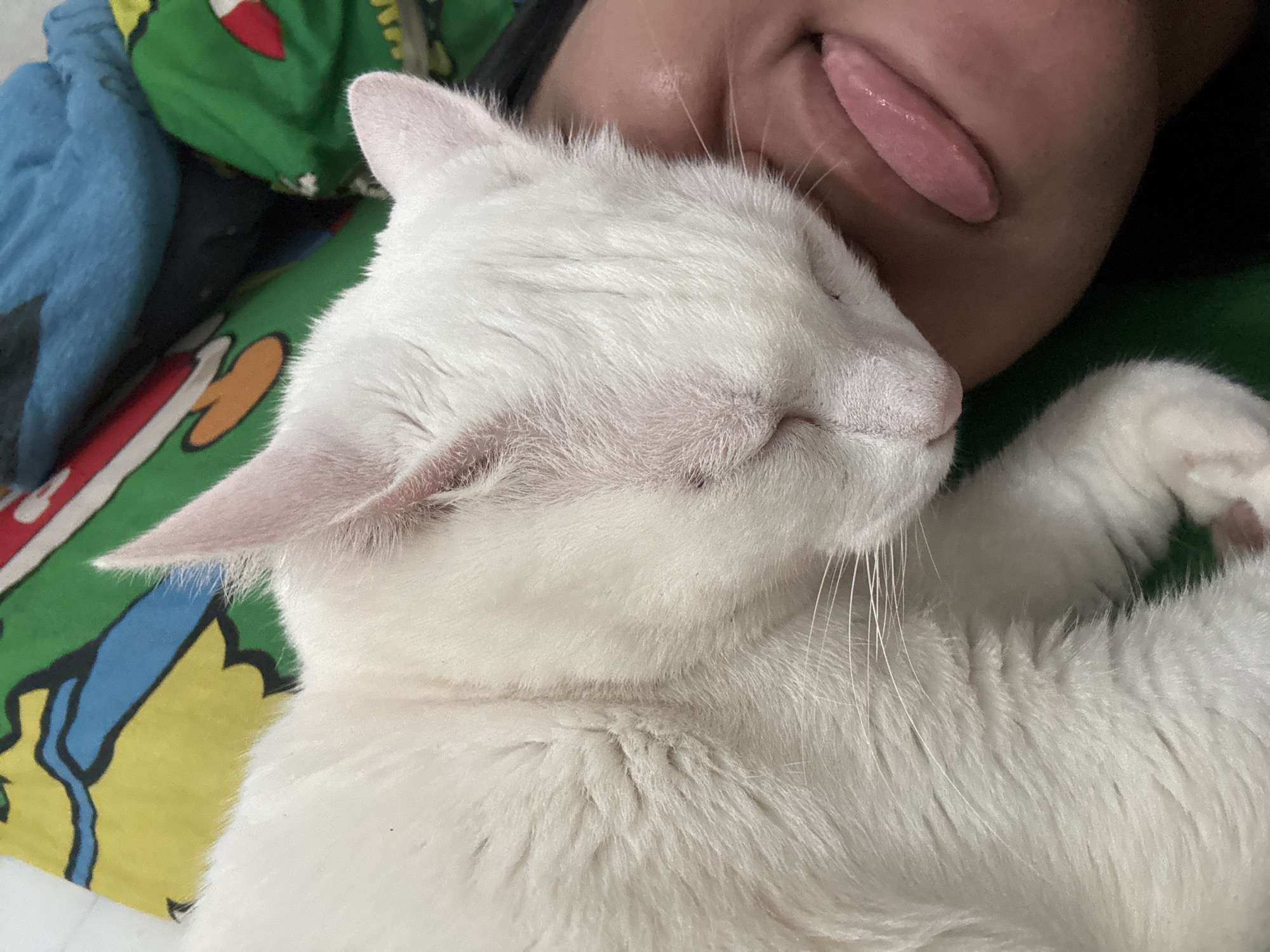A close-up, slightly high-angle shot shows a white cat lying next to a person's face on a colorful patterned surface. The cat is mostly in focus, with its eyes closed and pink ears visible. The person's mouth, with the tongue slightly protruding, is in the upper right corner of the frame. The background appears to be a blanket or pillowcase with various colors and cartoon-like shapes. The setting is indoors. There is no information to indicate the location is in North Jakarta, Indonesia.