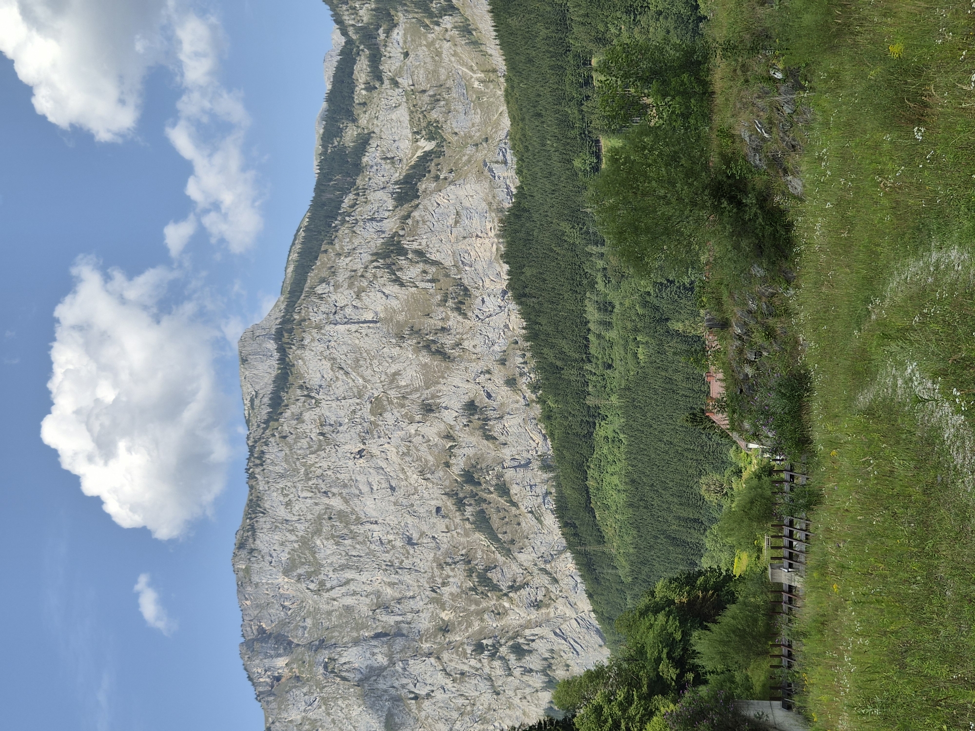 The image captures a wide view of a mountainous landscape under a clear blue sky dotted with white clouds. The foreground features a grassy field with a dirt path winding through it. Some wildflowers are scattered across the grass, and in the middle ground, there's a wooden fence structure and some overgrown vegetation. Beyond this, a dense forest of dark green pine trees covers the lower slopes of a massive, rugged mountain. The mountain itself is steep and rocky, with visible strata and sparse patches of trees clinging to its surface. In the far distance, the sky is a bright blue, and the sun is casting light and shadows on the terrain. A small, red-roofed building is partially visible amidst the trees in the middle ground. The scene appears to be a natural setting, likely in or near Eisenerz, Austria, given the characteristic mountainous terrain. There are no people or animals visible in the image, and the overall atmosphere is one of serene natural beauty.