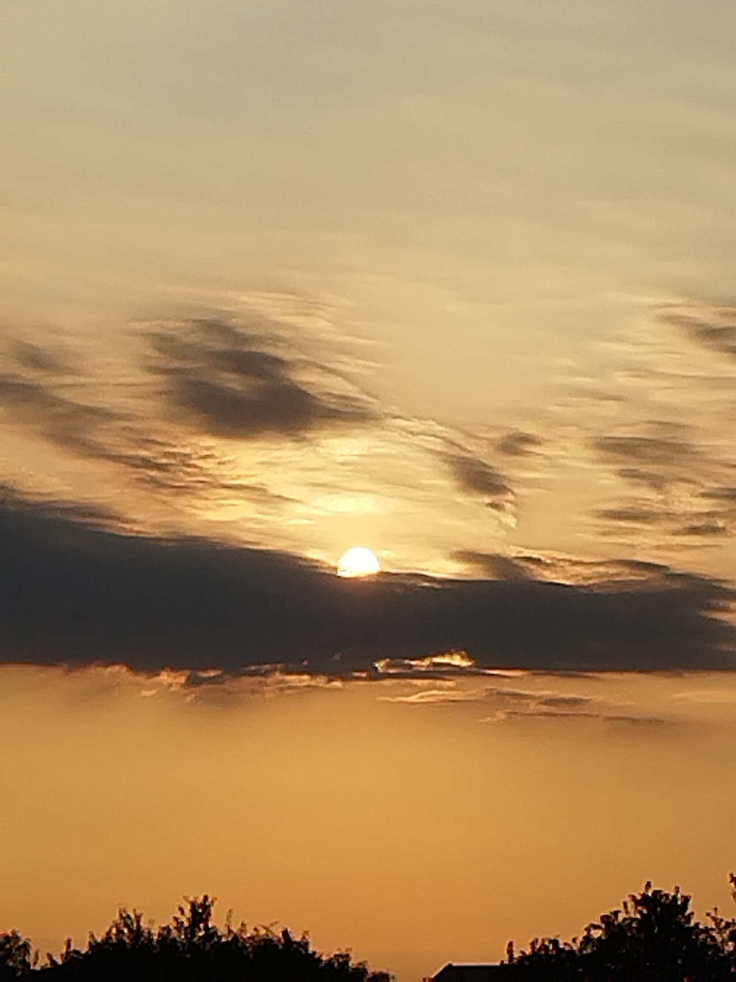 The image is a vertical shot of a sunset over Vidra, Romania. The sky is a gradient of yellow and orange, with wispy clouds. The sun is a bright, circular orb partially obscured by a dark cloud formation in the middle of the frame. Below the sunset, silhouetted trees and a building are visible against the orange glow. The scene suggests a peaceful, natural environment.