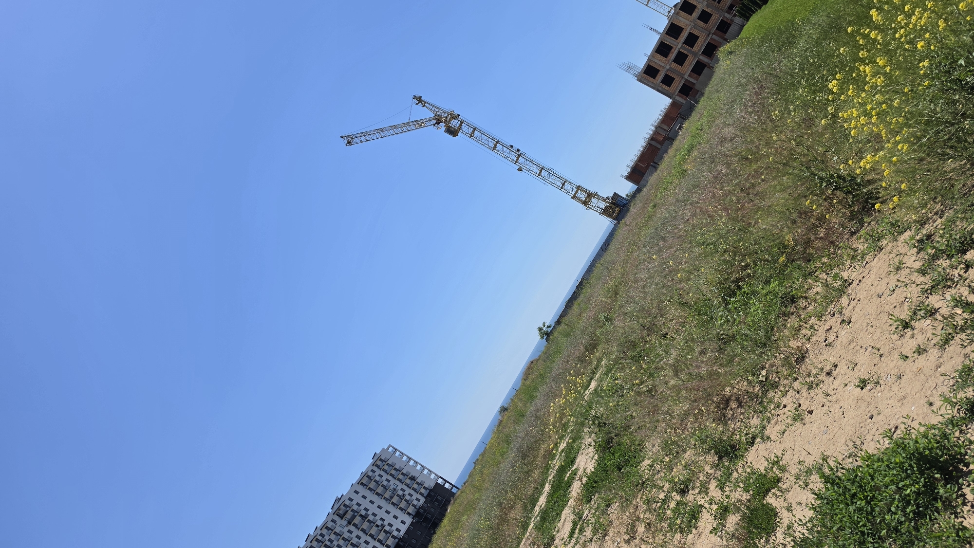 A tilted, eye-level, medium shot captures an outdoor construction scene under a clear, bright blue sky. The foreground is a field of dry grass and scattered yellow wildflowers, with patches of bare earth and small green bushes. To the left, a tall, white, multi-story building with many windows is under construction, its facade mostly complete. In the middle ground, a yellow construction crane with a long boom dominates the scene, reaching diagonally upwards into the sky. Behind the crane, the beginnings of another brick building structure with dark window openings are visible, also under construction. In the distance, a thin line of blue signifies the ocean, beyond which there is nothing but the vast expanse of the sky. The overall impression is of a developing area by the sea on a sunny day.