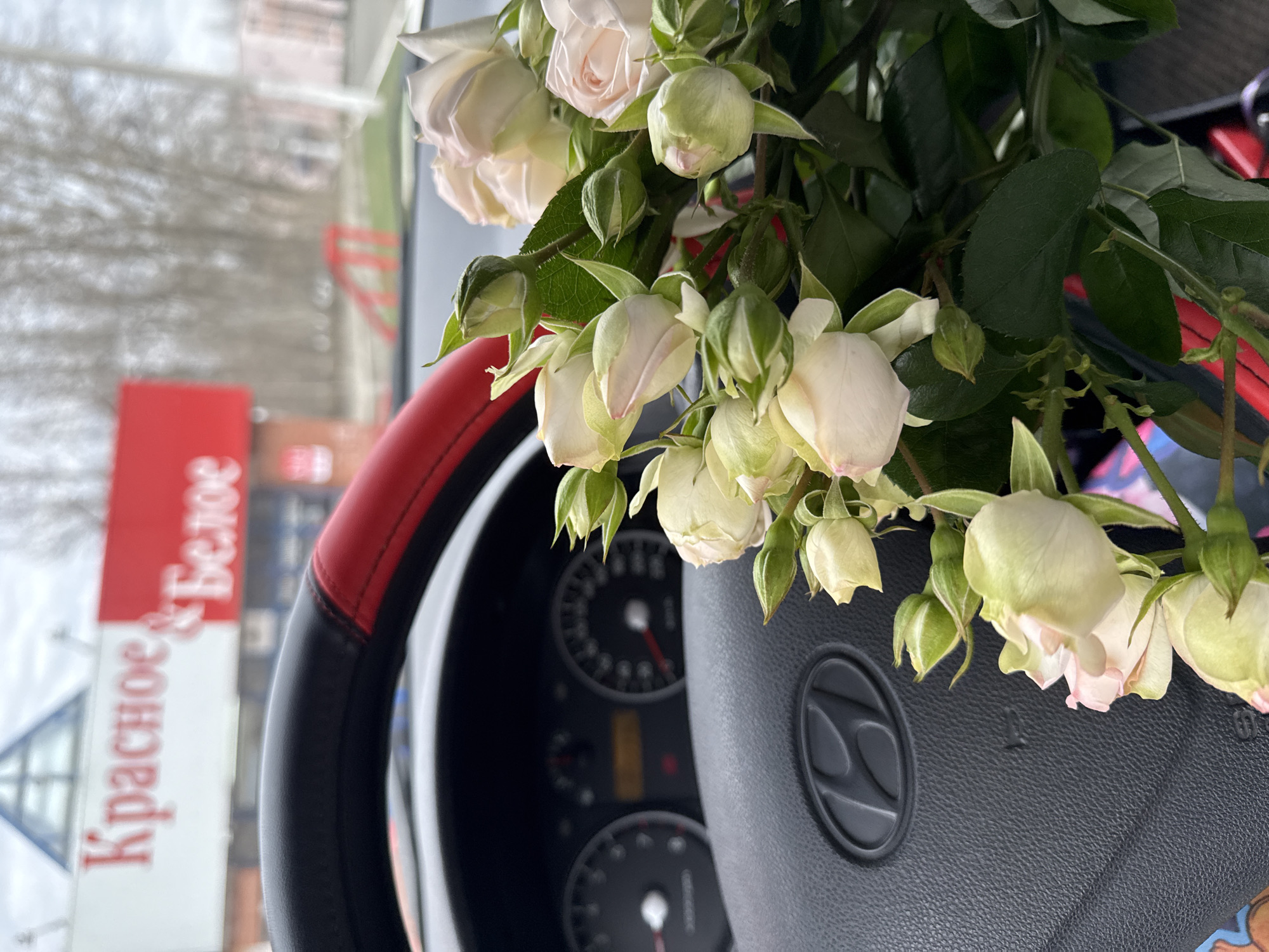 The image shows a bouquet of white and pale pink roses placed on the steering wheel of a vehicle, presumably a car, with the dashboard visible behind the flowers. The vehicle appears to be stationary. Outside the vehicle, a building with signage in Russian, specifically "Красное & Белое" ("Red & White"), is partially visible, suggesting the location is in Russia, specifically in the city of Chaikovsky. The image is taken from inside the car.