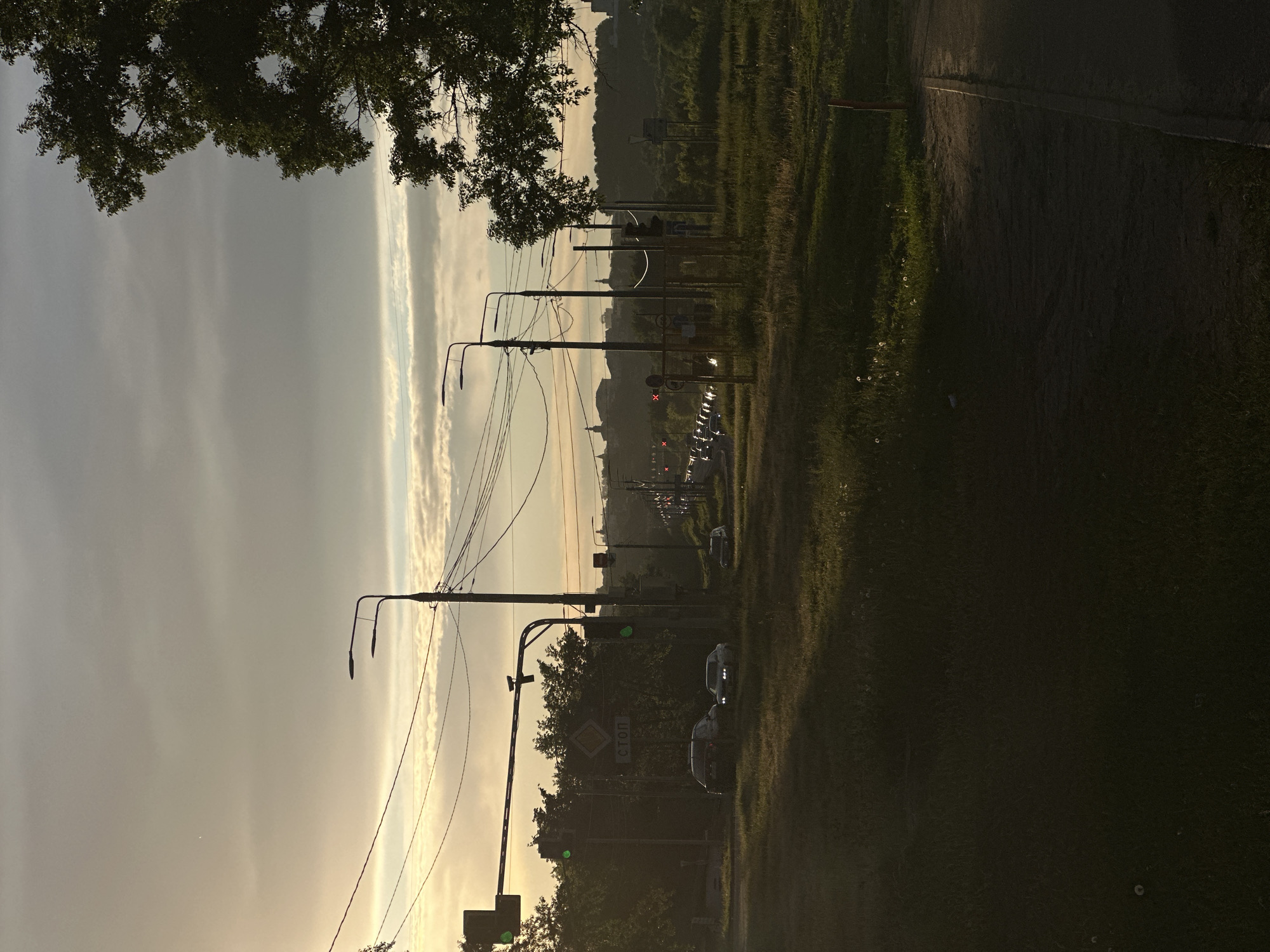 A landscape photograph shows a long street in Vladimir, Russia, at dusk or dawn.
The image is oriented vertically. A tree overhangs the upper left corner. The sky is overcast, with thin streaks of lighter cloud formations. Power lines and lampposts line the left and center of the frame, extending into the distance. A grassy field occupies the right half of the frame, bordered by a dark paved road on the right edge.
Further down the street, several cars are visible, along with street signs and traffic lights. The distant skyline shows a silhouette of city buildings and church spires.