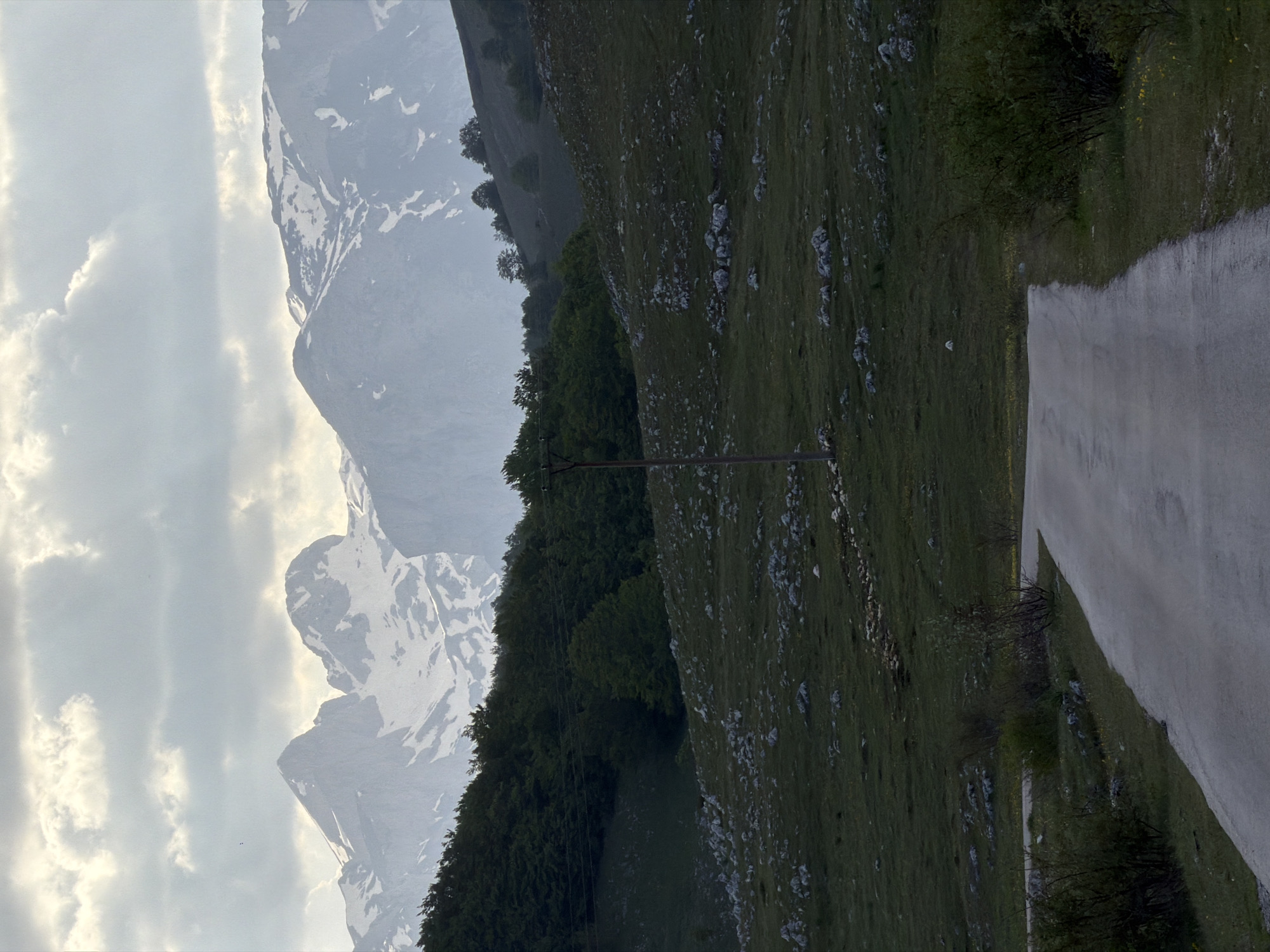 The image presents a landscape in Trsa, Montenegro, featuring snow-capped mountains on the left side of the frame, partially obscured by clouds. A dense forest and a grassy hillside occupy the center of the image. A paved road runs along the right side. An electrical utility pole with wires is visible in the middle ground. The overall light suggests an overcast or muted daylight setting.