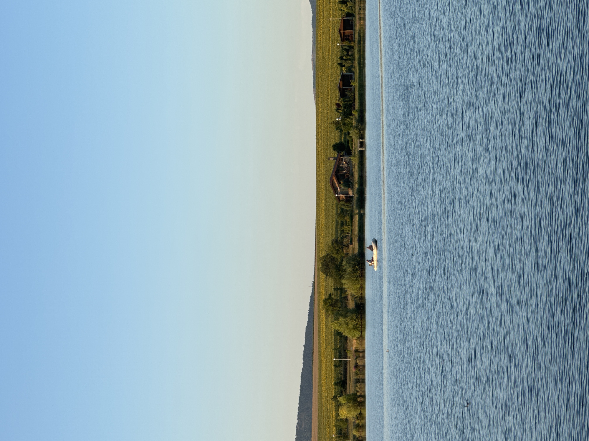 The image captures a serene lake scene near Begunovtsi, Bulgaria. In the foreground, the rippling blue water of the lake occupies the lower half of the frame. A small inflatable boat with two individuals is visible on the water, moving from left to right. The middle ground features the tree-lined shore of the lake, with several small wooden structures resembling cabins dotted along the bank. Beyond the treeline, a vast field of yellow sunflowers stretches towards a gently sloping, tree-covered hill in the distance. The sky above is a clear, pale blue, indicating a bright, sunny day. The overall impression is one of natural beauty and tranquility.