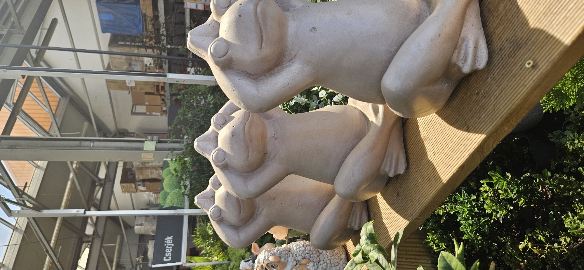 In Keszthely, Hungary, three frog-shaped garden ornaments are positioned in a row on a wooden bench. Each frog statue is depicted in a seated position with its hands covering its ears. The frogs are made of a light-colored material, likely concrete or stone. To the left of the frog statues, a white, sheep-like garden ornament is partially visible. In the background, there is a structure with a metal frame roof and wooden panels, typical of a garden center or outdoor market. A black sign with white text reading "Cserjék" (Shrubs) is visible on the left side of the image. Green plants and bushes are arranged around and beneath the bench. The overall scene suggests an outdoor display area, possibly a retail setting for garden decor.