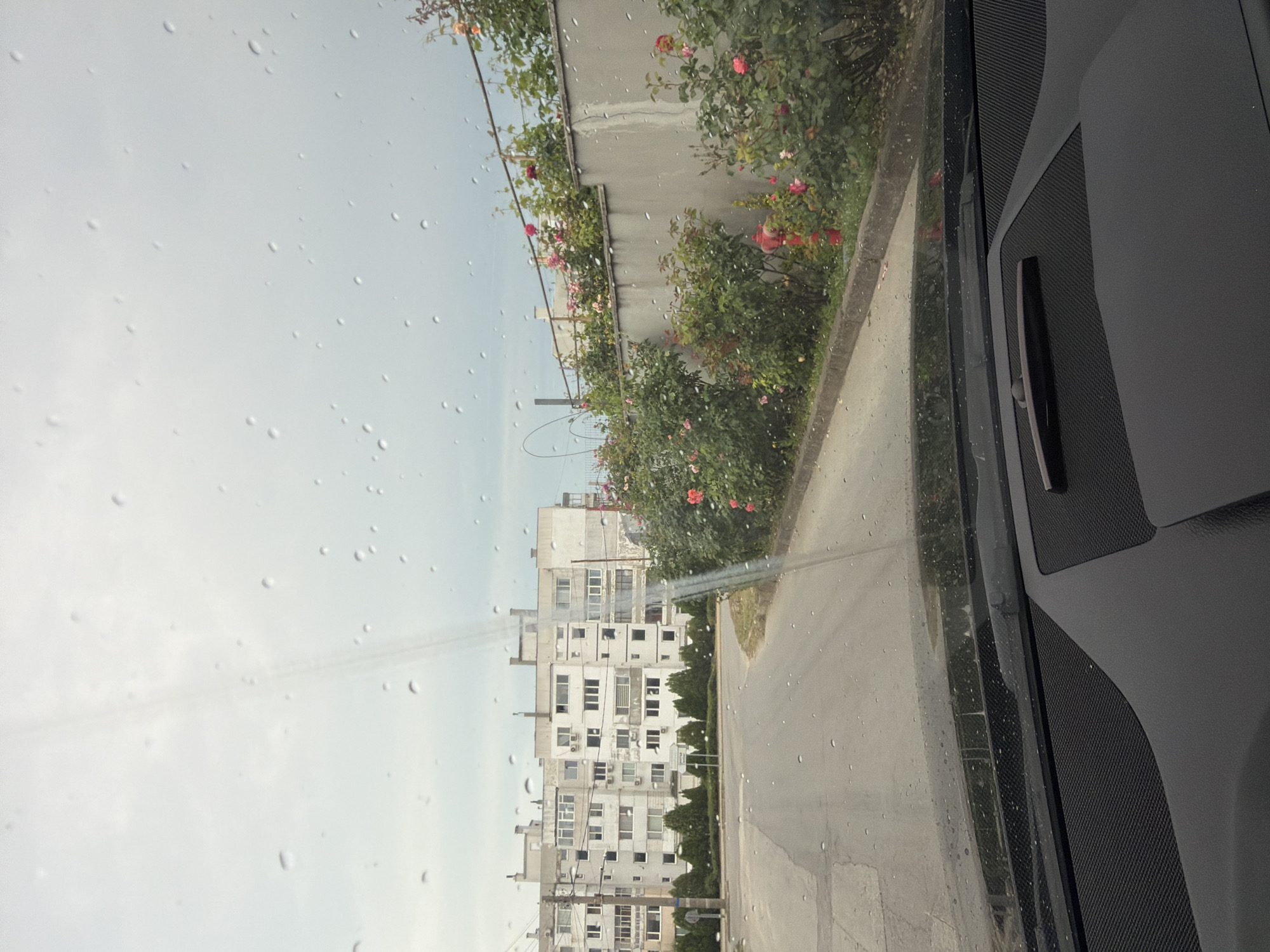 The image captures a view from inside a vehicle, looking out through a windshield covered in numerous raindrops, suggesting recent or ongoing rain.
In the foreground, the dark interior of the car is visible on the right side, featuring textured dark gray plastic or fabric surfaces, likely part of the dashboard or door panel.
Beyond the windshield, an overcast sky fills the upper left portion of the frame. Below it, a street stretches into the distance, appearing wet from the rain. On the right side of the street, a raised curb or sidewalk borders a strip of vibrant green vegetation, including rose bushes adorned with pink blossoms along a low concrete wall.
In the middle ground and background, several multi-story residential buildings, likely apartment blocks, dominate the left side of the scene. These buildings are light-colored, with numerous windows, balconies, and external air conditioning units, displaying some signs of wear. Green hedges line the front of these buildings, separating them from the street. Utility poles and wires are also visible in front of the buildings. A small, blurry white sign is present on the right side of the street, but its text is illegible.
The setting appears to be a residential area in Aksakovo, Bulgaria, under an overcast sky during daytime. No specific human activity or identifiable text is clearly visible.