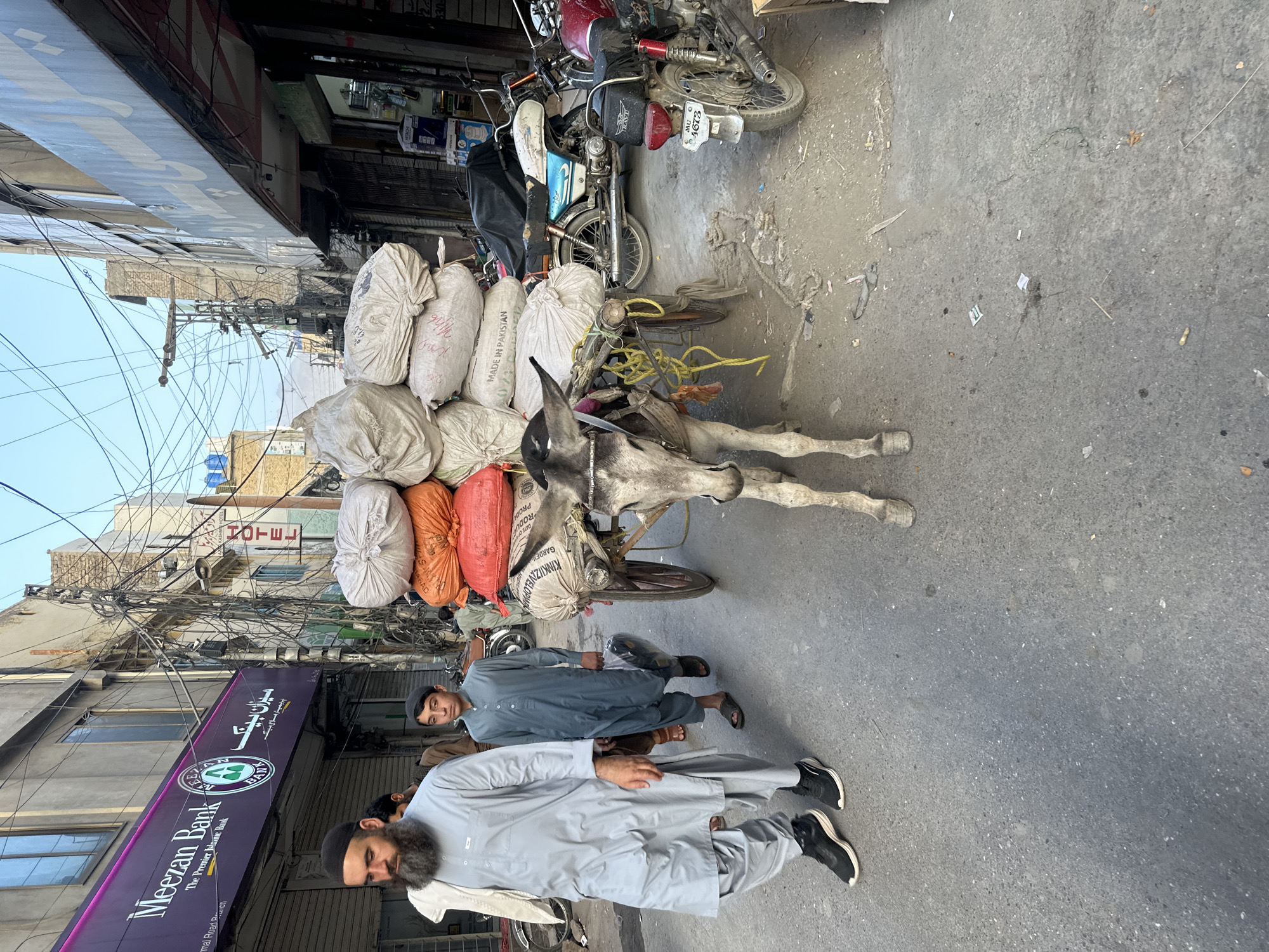 The image depicts a street scene in Quetta City Tehsil, Pakistan. A donkey is heavily laden with sacks, positioned in the middle of the street. Two men stand near the donkey. One is a young man wearing a traditional shalwar kameez. The other man is wearing a grey shalwar kameez with black sneakers, and has a beard. The environment is a bustling street lined with buildings, including a Meezan Bank, and a hotel, both displaying signage. Several motorcycles are parked adjacent to the loaded donkey. Overhead is a dense web of electrical wires.