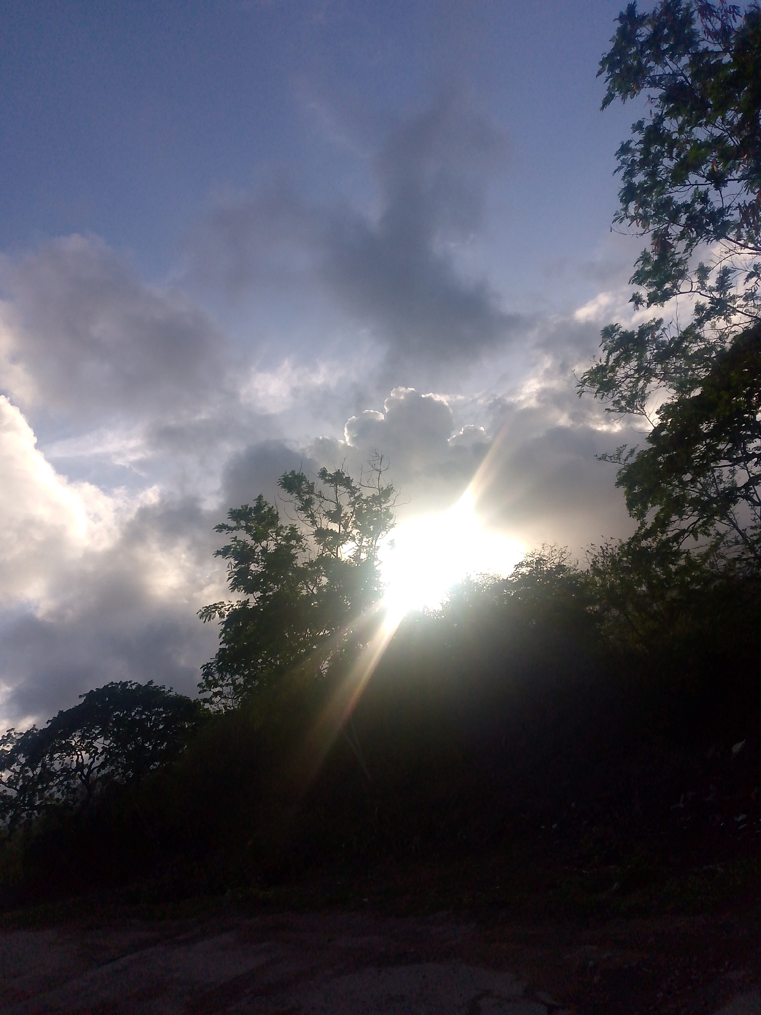 The image shows a dramatic sky with bright sunlight breaking through clouds, creating visible rays. Silhouetted trees and vegetation line the lower half of the frame, with a dark foreground that appears to be a dirt road or path. The lighting suggests either sunrise or sunset. The scene is likely an outdoor environment, possibly on the outskirts or a natural area within Pedro González, Venezuela, given the presence of tropical foliage. There are no people or specific structures visible to indicate an urban setting.