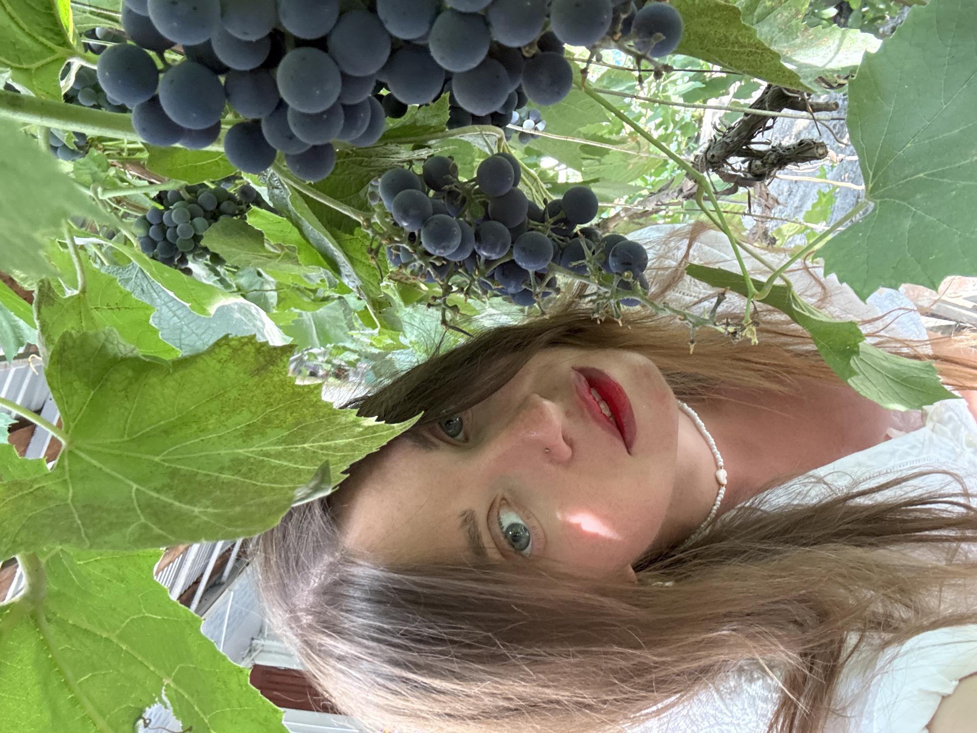 A young woman with long brown hair and blue eyes, wearing a white dress and a pearl necklace, is pictured outdoors. She is partially obscured by the leaves and dark purple grapes of a grapevine. The woman is looking at the camera with red lipstick on her lips. She has a small nose piercing. Sunlight is casting a shadow on her face. The background shows the foliage of the grapevine, branches, and what appears to be part of a greenhouse or structure. This scene is set in Sol-Iletsk, Russia.