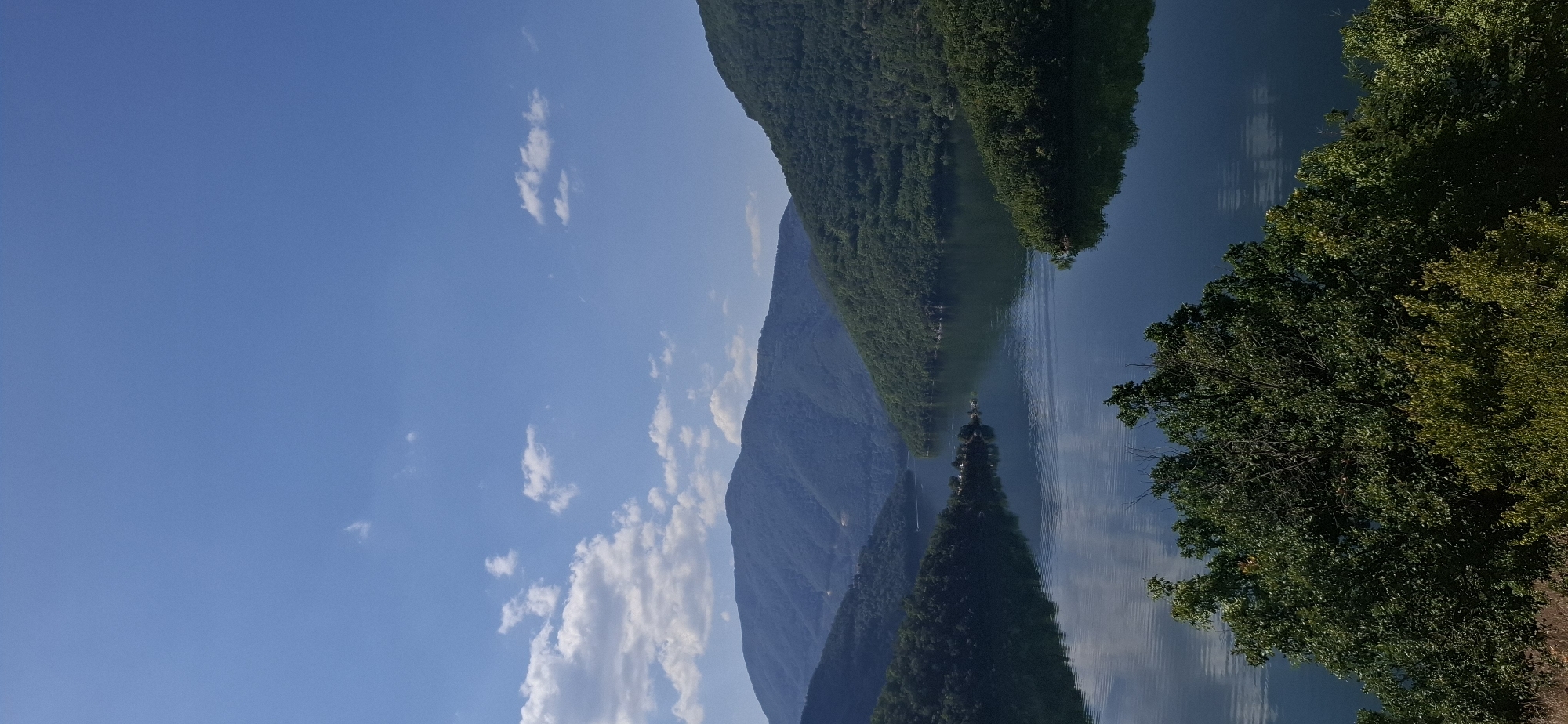The image depicts a wide, still lake surrounded by lush, green mountains under a bright blue sky with scattered white clouds. The mountains are densely forested and rise steeply from the water's edge. The lake reflects the sky and the surrounding landscape, creating a sense of depth and tranquility. In the foreground, the tops of trees are visible, with some dry brush and grass at the very bottom of the frame. The scene is set in the city of Mihalkovo, Bulgaria, a location known for its natural beauty and proximity to water bodies. There are no people or specific objects or actions prominently displayed in the image, focusing instead on the natural landscape.