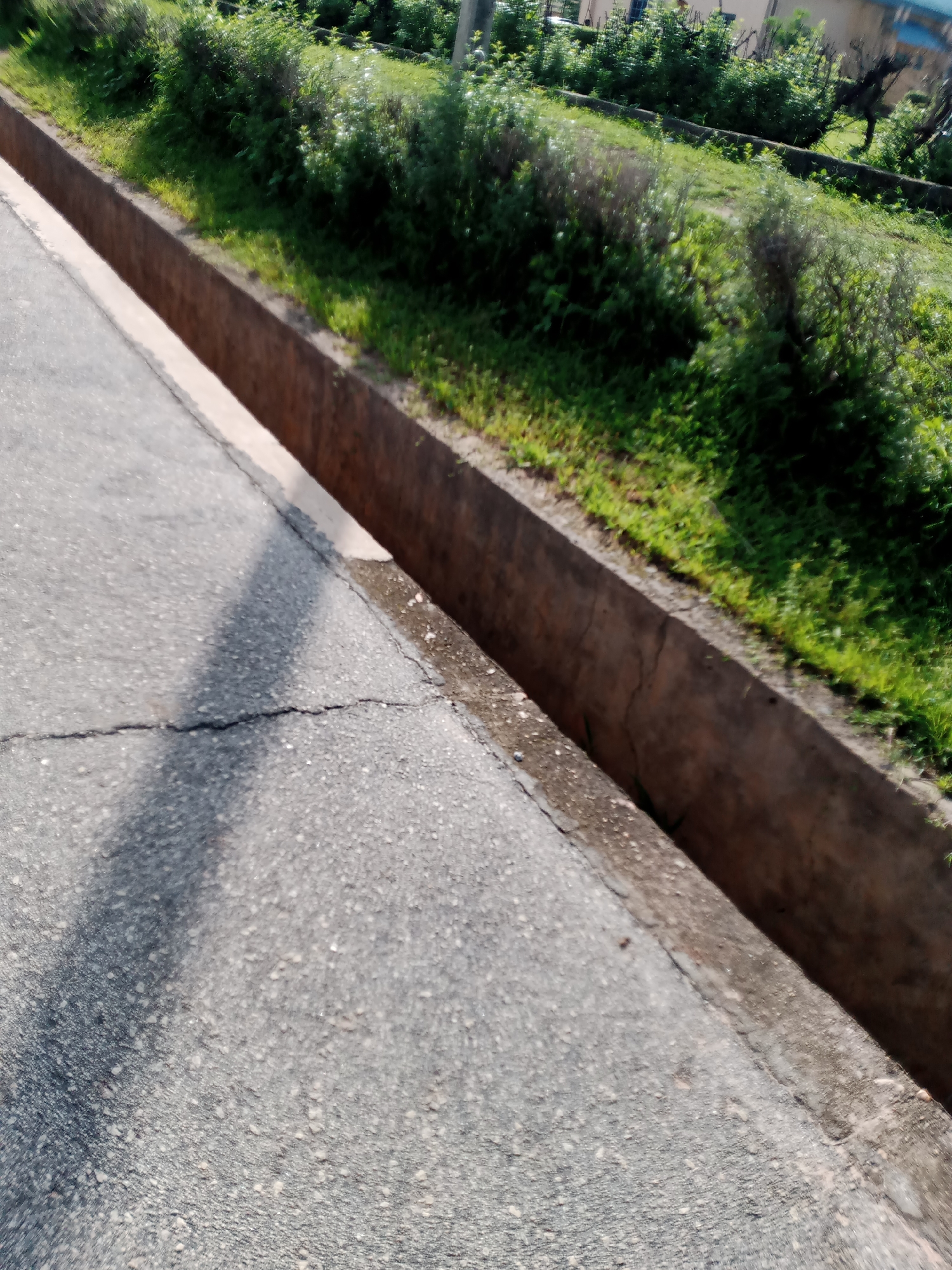 The image shows a close-up view of a paved road with a concrete drainage ditch running alongside it. The road appears to be cracked and worn. Lush green vegetation is visible on the other side of the drainage ditch, with some trees and buildings in the background. The lighting suggests it is daytime, with shadows cast on the road. The scene is likely located in Jalingo, Nigeria, given the mention of the city.
