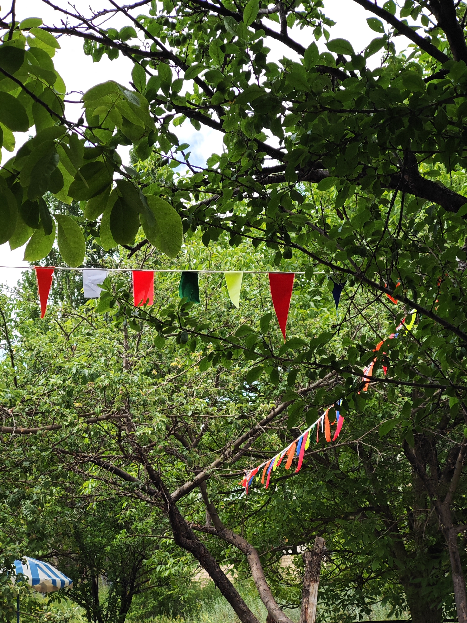 The image depicts a festive scene outdoors, likely in a garden or park, given the abundance of lush green trees. A string of colorful triangular flags, known as bunting, is strung between branches, suggesting a celebration or gathering. The flags are in various colors, including red, white, green, yellow, and blue, adding a cheerful and vibrant atmosphere. Some flags appear to be made of fabric, while others are thinner and may be made of plastic or paper.
The trees are in full leaf, indicating it is likely springtime or summer. The sunlight filters through the leaves, creating dappled light and shadows, suggesting it is daytime, possibly late morning or early afternoon, with bright, perhaps slightly overcast, weather. In the lower left corner of the image, a portion of a blue and white striped umbrella or canopy is visible, hinting at an area set up for shade or relaxation. The overall mood is relaxed and celebratory, evoking a sense of outdoor festivity. No text is visible in the image. The context of Vanadzor, Armenia, suggests this scene is located in a community or private outdoor space within that region.