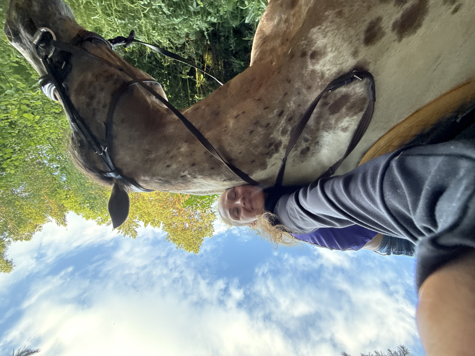 A low-angle, wide shot captures a person lying on the back of a dappled gray horse, with their face resting on the horse's neck. The person is wearing a dark long-sleeved shirt and blue jeans, with a hint of a purple garment visible underneath. Their eyes are closed, and they appear to be smiling contentedly. The horse is wearing a bridle and saddle. The background consists of lush green trees under a bright blue sky with scattered white clouds. The image was taken outdoors, likely in a natural setting. No specific location in Chaikovsky, Russia can be identified from the visual information.