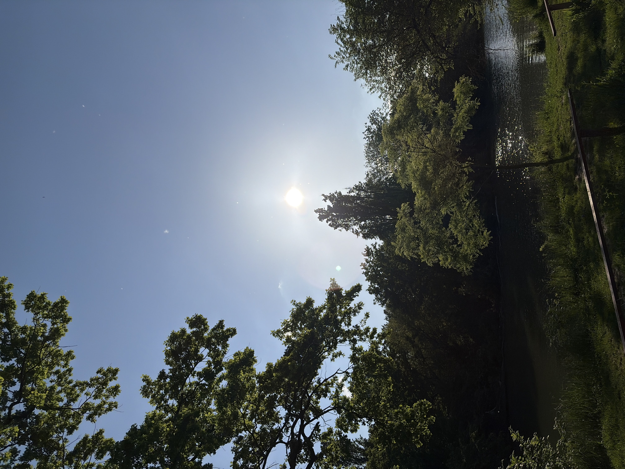 The image shows a view looking up towards the sky, with trees framing the edges. The sun is visible, bright and high in the sky, causing a lens flare. The leaves of the trees are green and dense. On the right side of the image, there is a glimpse of a body of water and some greenery. Based on the type of vegetation and the presence of water, it is suggestive of a park or natural area. Given the prompt, it can be inferred that the location is likely within the city of Krasnodar, Russia. The overall impression is that of a sunny day in a park or green space near a river or canal.