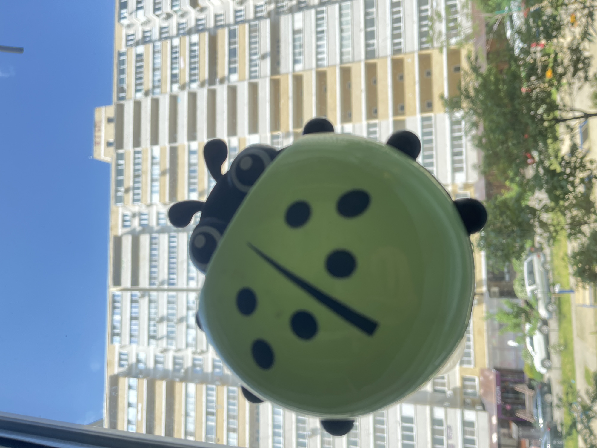 A green ladybug suction cup toy is attached to a window. Through the window, a multi-story building with alternating tan and white sections is visible, along with a blue sky. To the right, trees and street views suggest a city environment. The location is Krasnodar, Russia.