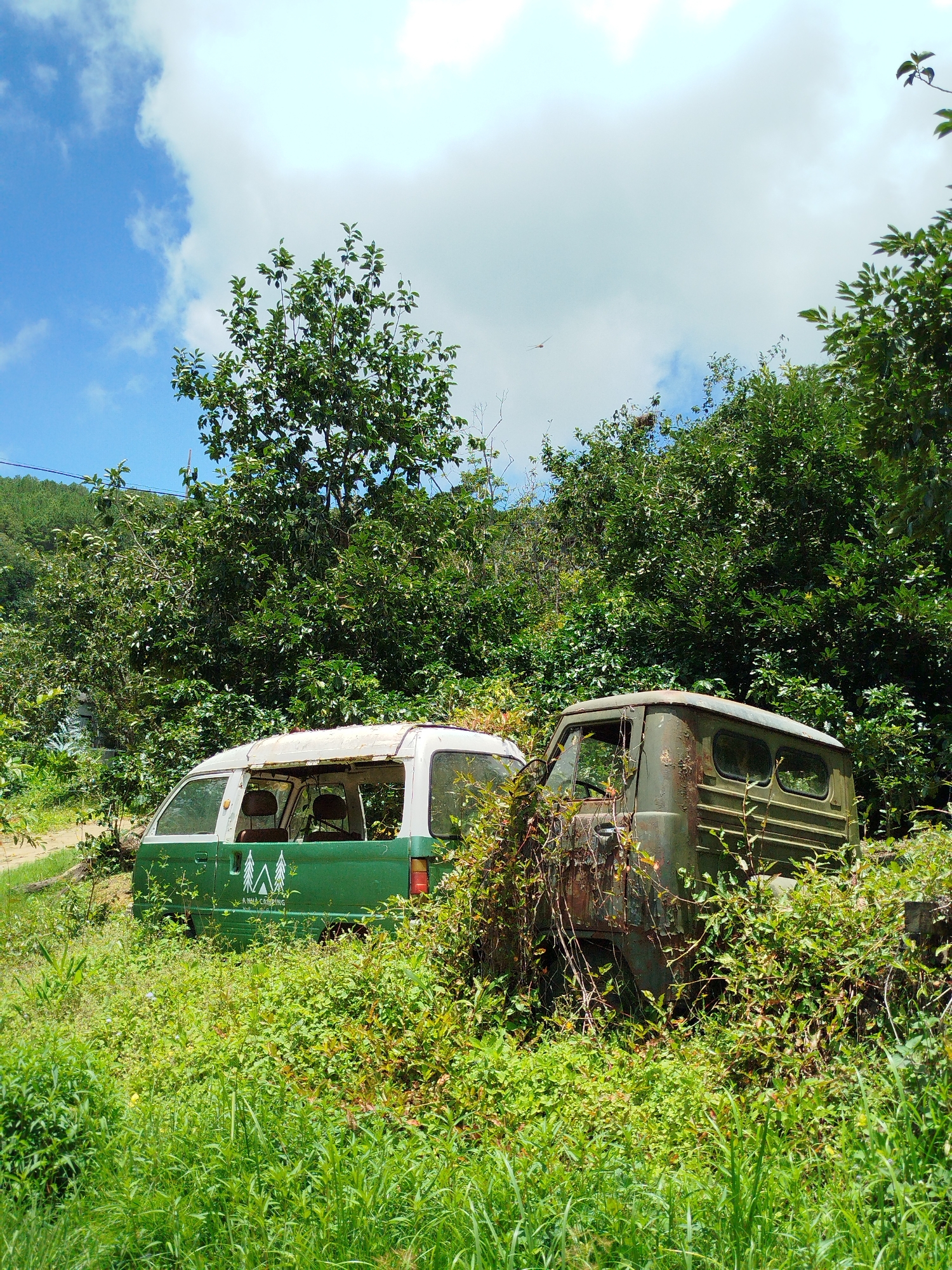 Two abandoned vehicles are partially overgrown with vegetation in a natural setting. The vehicle on the left is a green and white van, its windows are missing, and the interior is visible. The vehicle on the right is a weathered, olive-green truck, also covered in vines. Both vehicles appear to be derelict and have been there for some time. They are surrounded by lush green grass, dense foliage, and trees. The sky above is blue with scattered white clouds. In the background, a forested hillside is visible. The scene suggests a remote or forgotten location, possibly within the rural outskirts of Xuân Sơn, Vietnam.
