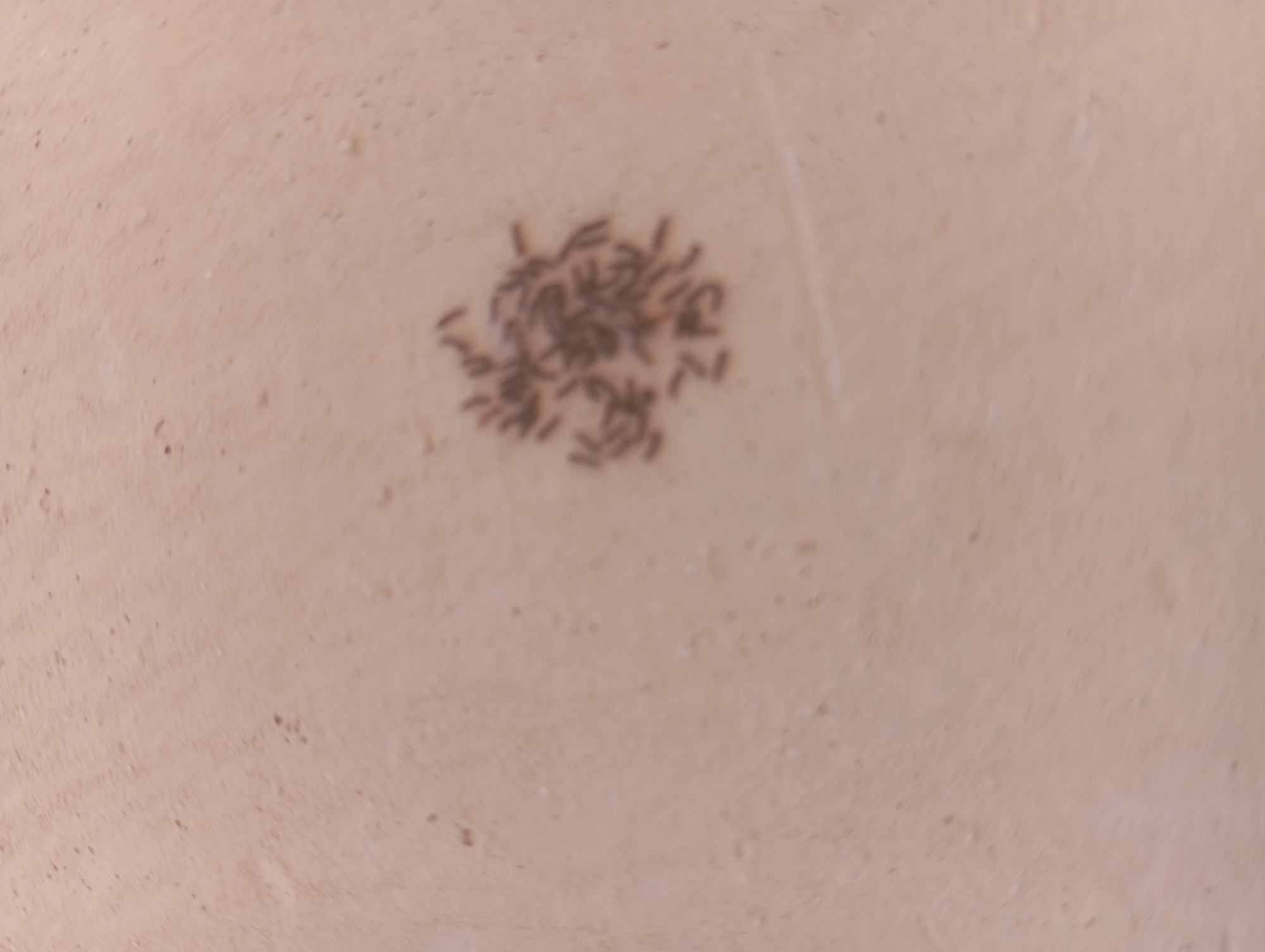 In an outdoor environment with a sandy or dusty surface, a cluster of approximately thirty small, dark, elongated objects, possibly insects or larvae, is visible. The objects are gathered in a circular formation in the lower right quadrant of the image. The background is a uniform light brown or beige color, with some subtle variations in texture and small specks scattered across the surface. The lighting appears to be natural, casting soft shadows. The scene is static, with no discernible activity or interaction among the objects.