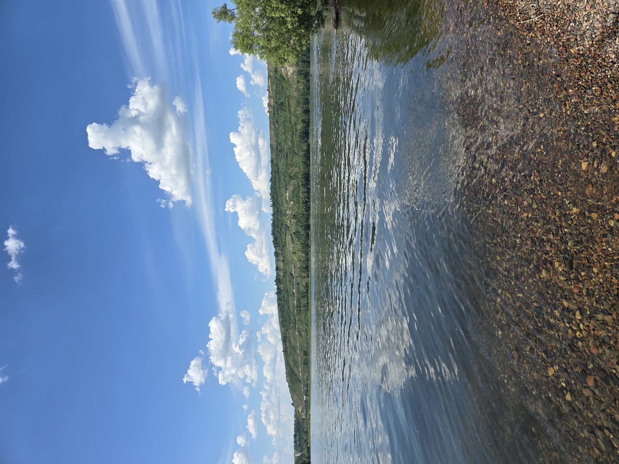 The image depicts a serene natural scene along the riverbank in Ермолаевский Затон, Russia. The foreground showcases a clear, shallow riverbed covered with colorful pebbles, transitioning into deeper, rippling water that reflects the sky above. A gentle shoreline of smaller pebbles lines the right edge of the frame. In the mid-ground, the calm river stretches towards a lush green hill that forms the backdrop. The hill is covered in dense vegetation and trees, with some exposed earth visible along its crest. A few distant structures are sparsely scattered along the hillside. The sky is a vibrant blue, dotted with fluffy white cumulus clouds and wispy cirrus clouds, suggesting a bright and fair day. A large tree with full green foliage overhangs the water on the right side of the image, its branches casting a subtle shadow. The overall atmosphere is peaceful and tranquil, emphasizing the natural beauty of the location.