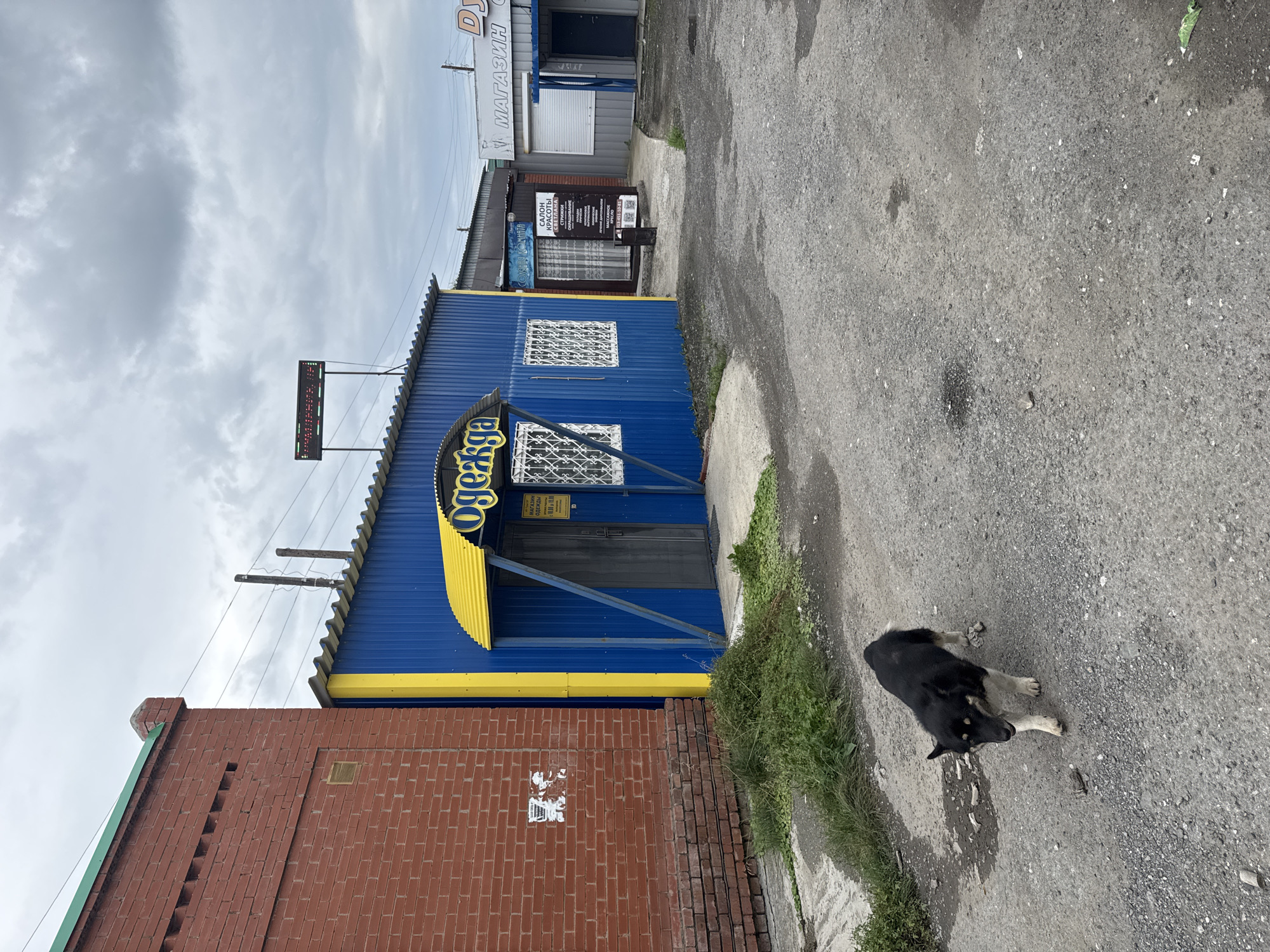 A black and tan dog walks on a gravelly path in front of a row of low-rise buildings. The dog is facing left and appears to be alert. The buildings are industrial in appearance, with corrugated metal siding and some brickwork. One building is painted bright blue with a yellow awning. The sky is overcast. A digital sign with green text is visible above one of the buildings. The scene appears to be an outdoor commercial area.