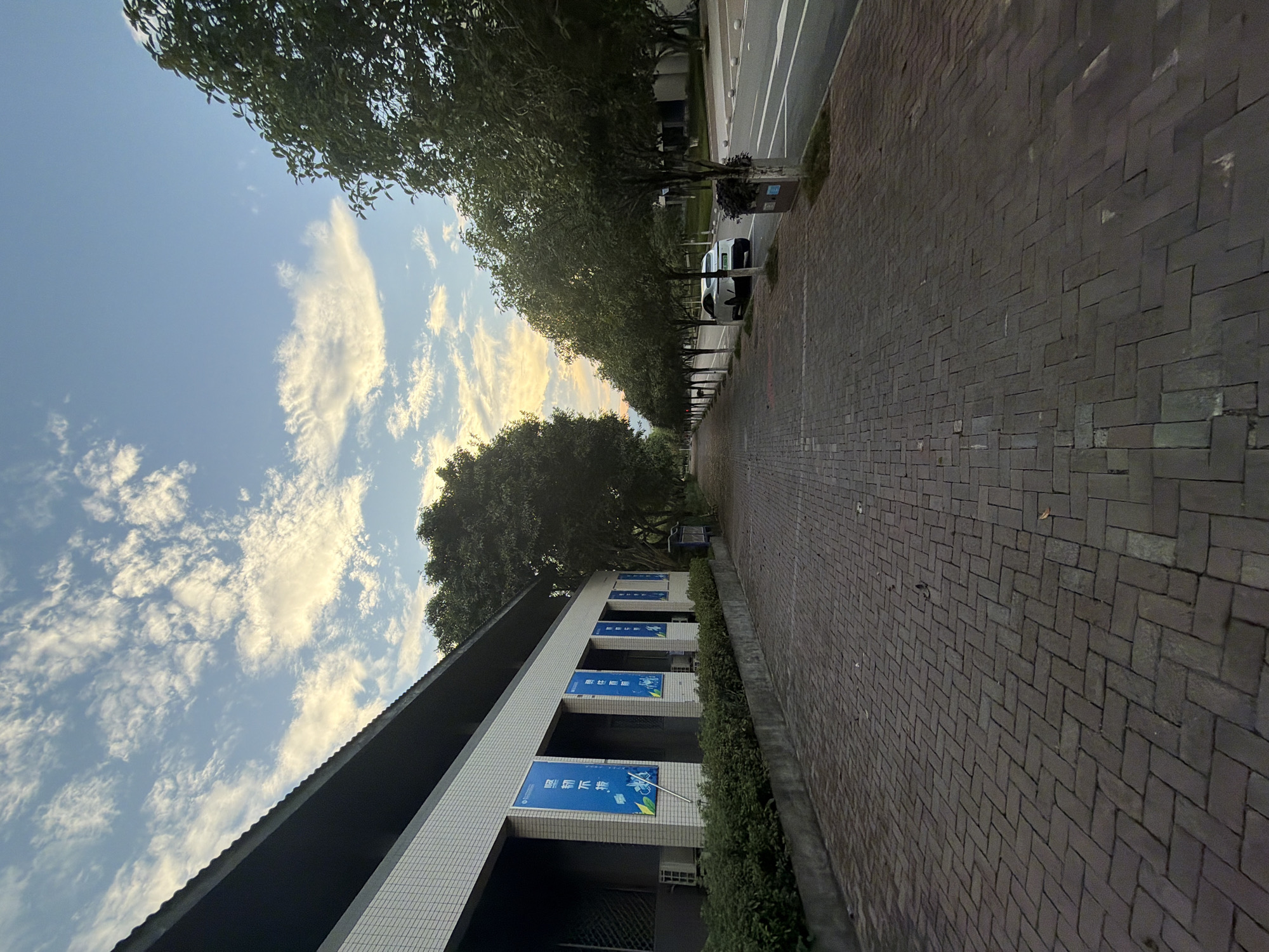 The image captures a view of a paved walkway lined with trees, alongside a building and a road. The walkway is constructed with dark-colored rectangular bricks laid in a herringbone pattern. To the left, a long, low-rise building with a white tiled facade features several large blue banners hanging vertically from its exterior. Air conditioning units are visible near the base of the building, and a row of green bushes runs along the front.
On the right side of the walkway, a row of evenly spaced trees with dense green foliage forms an avenue. Beyond the trees, a road with white lane markings is visible. A white electric car is parked along the side of the road. In the distance, the trees continue along the road, and the sky above is a pale blue with scattered, wispy white clouds, illuminated by what appears to be the soft light of early morning or late afternoon. The scene suggests a quiet, possibly educational or institutional setting, likely in a city like Jiangjin, China, given the presence of Chinese characters on the banners.