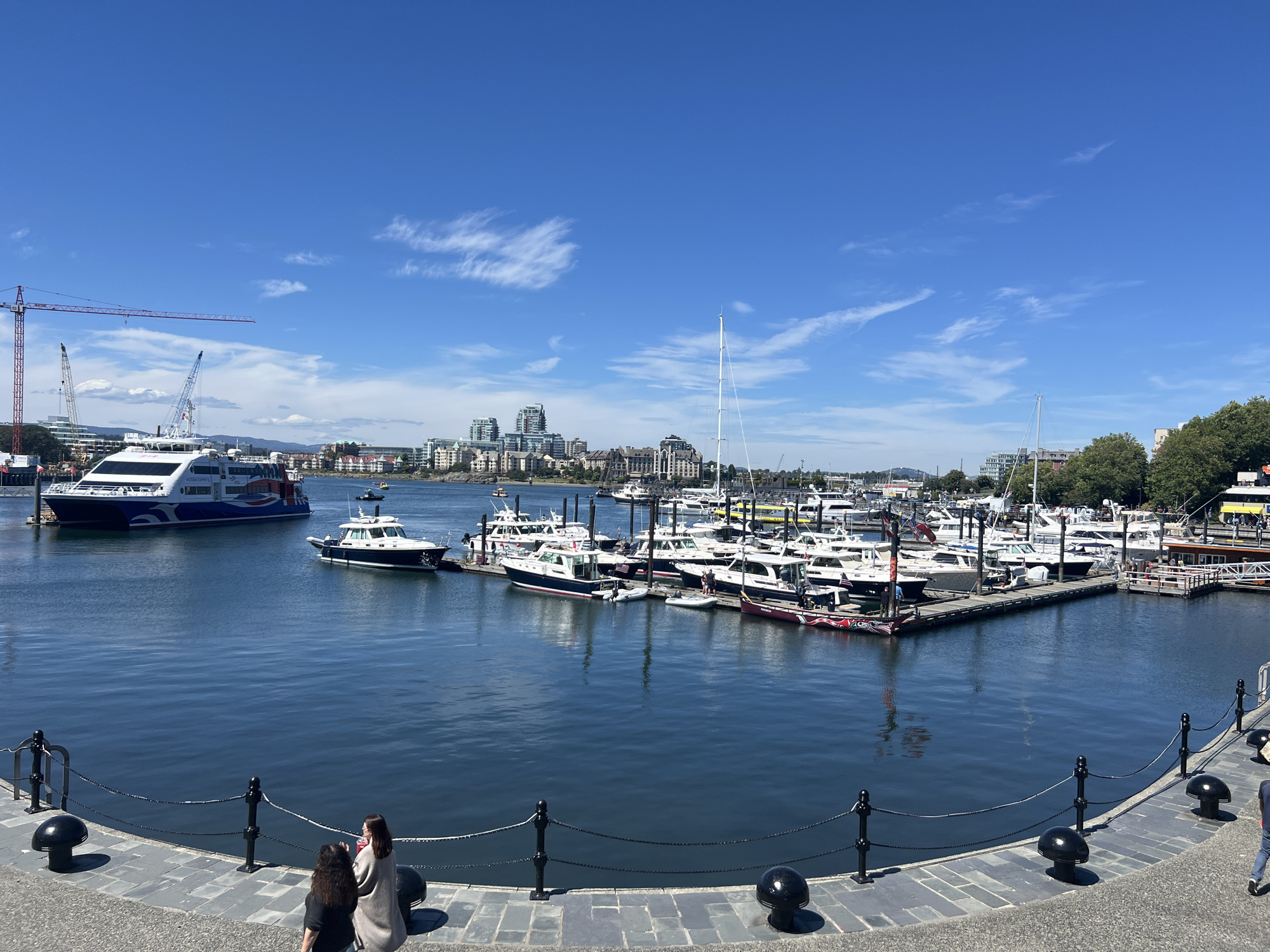 This is a daytime, eye-level, wide-angle photograph of a marina in Victoria, Canada, likely the Inner Harbour, given the presence of ferries and the urban skyline. The water is a deep blue, reflecting the clear sky with scattered white clouds.
In the foreground, two women are seated on a stone walkway, facing away from the camera and towards the water. They are positioned behind a black metal fence with circular bollards.
The middle ground is dominated by the marina, filled with numerous docked boats of various sizes, including sailboats and motor yachts. A large white ferry with blue and red accents is visible on the left, departing from a dock. To its right, a smaller white and dark blue boat is moored. Cranes are visible in the background on the left side of the image, suggesting ongoing construction or port activity.
The background features the cityscape of Victoria, with a cluster of modern high-rise buildings and older architecture, framed by trees on the right. The sky is a vibrant blue, typical of a sunny day.