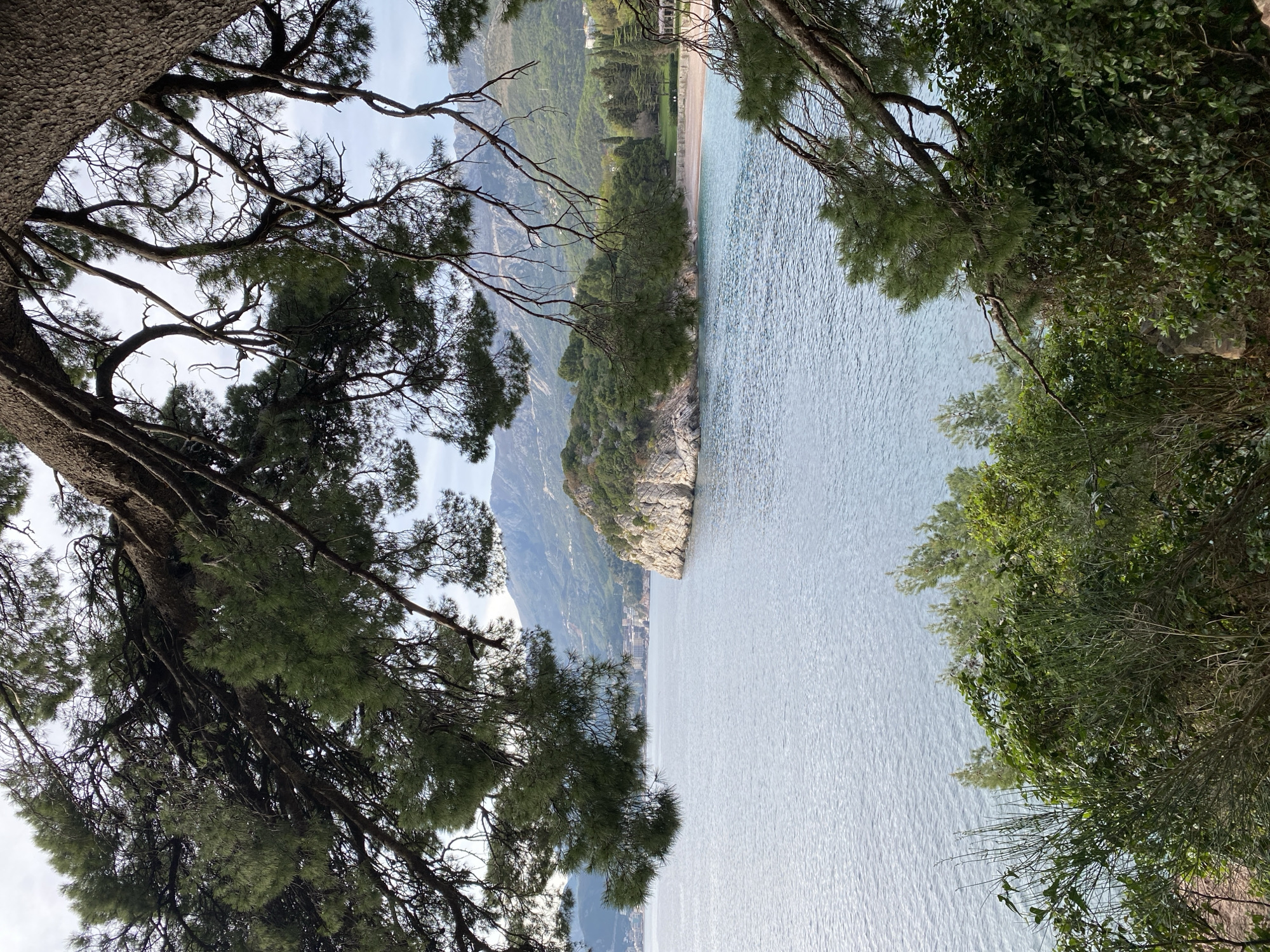 The image shows a coastline in Sveti Stefan, Montenegro, taken from a vantage point within dense foliage. The foreground is dominated by the branches and leaves of trees, creating a natural frame. Through the trees, the Adriatic Sea stretches out, its surface rippling. A rocky promontory, covered with greenery, juts out into the water. In the distance, coastal mountains rise, and a stretch of beach is visible. The overall lighting suggests daylight. There are no visible people in the frame.