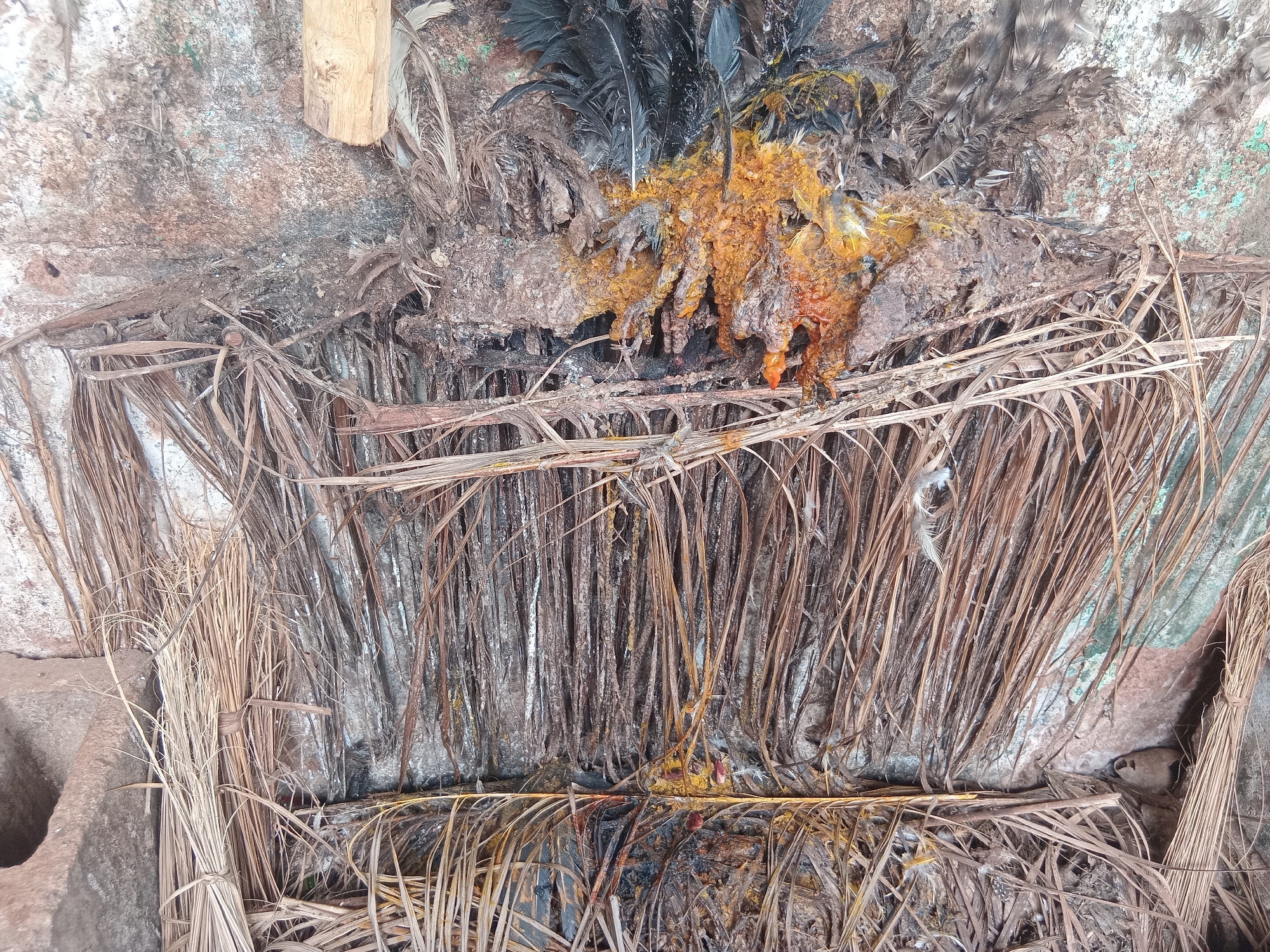 The image presents a close-up view of a rustic and somewhat raw scene, primarily composed of organic materials. The main subjects are long, dried plant fronds, likely from a palm tree, which fill much of the frame, arranged both horizontally and vertically, some appearing bundled.
In the upper-middle section, a prominent mass of yellowish-orange and brown organic residue is visible, mixed with numerous dark feathers. This material has a lumpy, somewhat unctuous texture and appears to be the remains of poultry, possibly from butchering, cooking, or a traditional offering. Some parts of this mass are darker, suggesting charring or decay.
The background consists of a rough, textured surface, resembling an aged concrete wall or earthen structure, displaying shades of grey, brown, and faint hints of pale green. A small, light-colored wooden block is partially visible in the top left. Towards the bottom left, the edges of what appear to be rough, utilitarian concrete or earthen containers are discernible.
The scene suggests an outdoor or semi-sheltered area, consistent with a rural or agricultural setting in Shagamu, Nigeria. No specific activity is captured, but the arrangement of materials implies processes related to natural resource use, possibly for construction (thatching), fuel, or food preparation involving poultry. The lighting suggests natural daylight. There is no visible text or identifiable human presence in the frame.