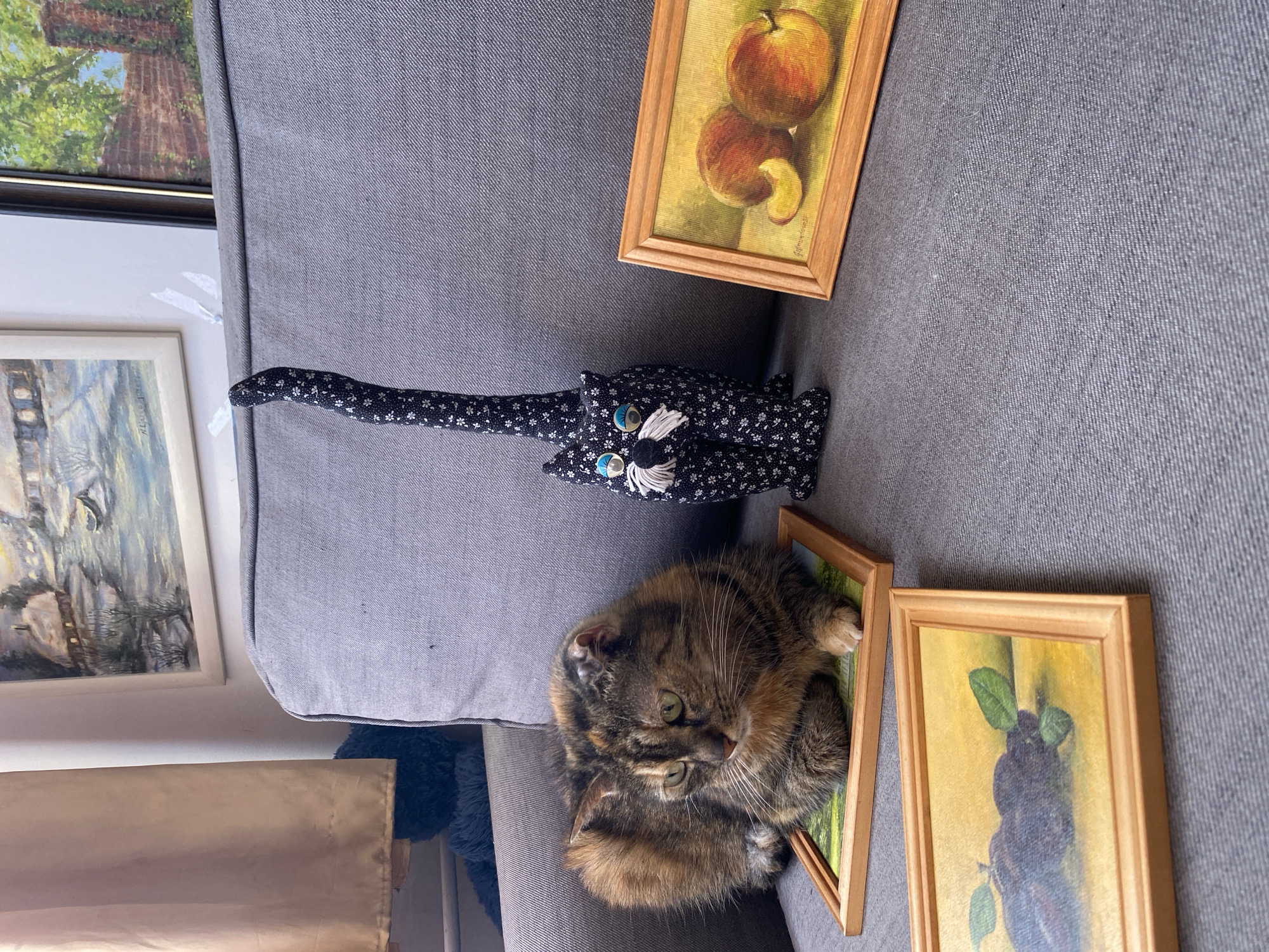 In a domestic setting in Bílina, Czechia, a medium-sized calico cat is positioned on a grey upholstered sofa. The feline is primarily brown, black, and orange, with green eyes and white whiskers, and is lying on a small rectangular wooden-framed painting depicting a green landscape. To the right of the live cat, an upright fabric cat figurine is situated on the same sofa; it is black with a white floral pattern, features prominent blue eyes, and white yarn whiskers, and has a long, erect tail.
Three small rectangular paintings with light wooden frames are present on the sofa. One is beneath the live cat, and another depicts two red apples with one sliced, placed to the right of the fabric cat figurine. A third small painting, showing dark fruit on a yellow background, is located in the bottom-left foreground, slightly in front of the cat.
In the background, a light beige curtain hangs on the far left. The wall behind the sofa displays two larger framed paintings. The left painting depicts a winter landscape with a house by a body of water, while the right painting shows green trees alongside a red brick wall. A dark blue, textured object is partially visible behind the sofa cushions on the left side, beneath the curtain. The sofa is a solid grey color with a visible fabric texture.