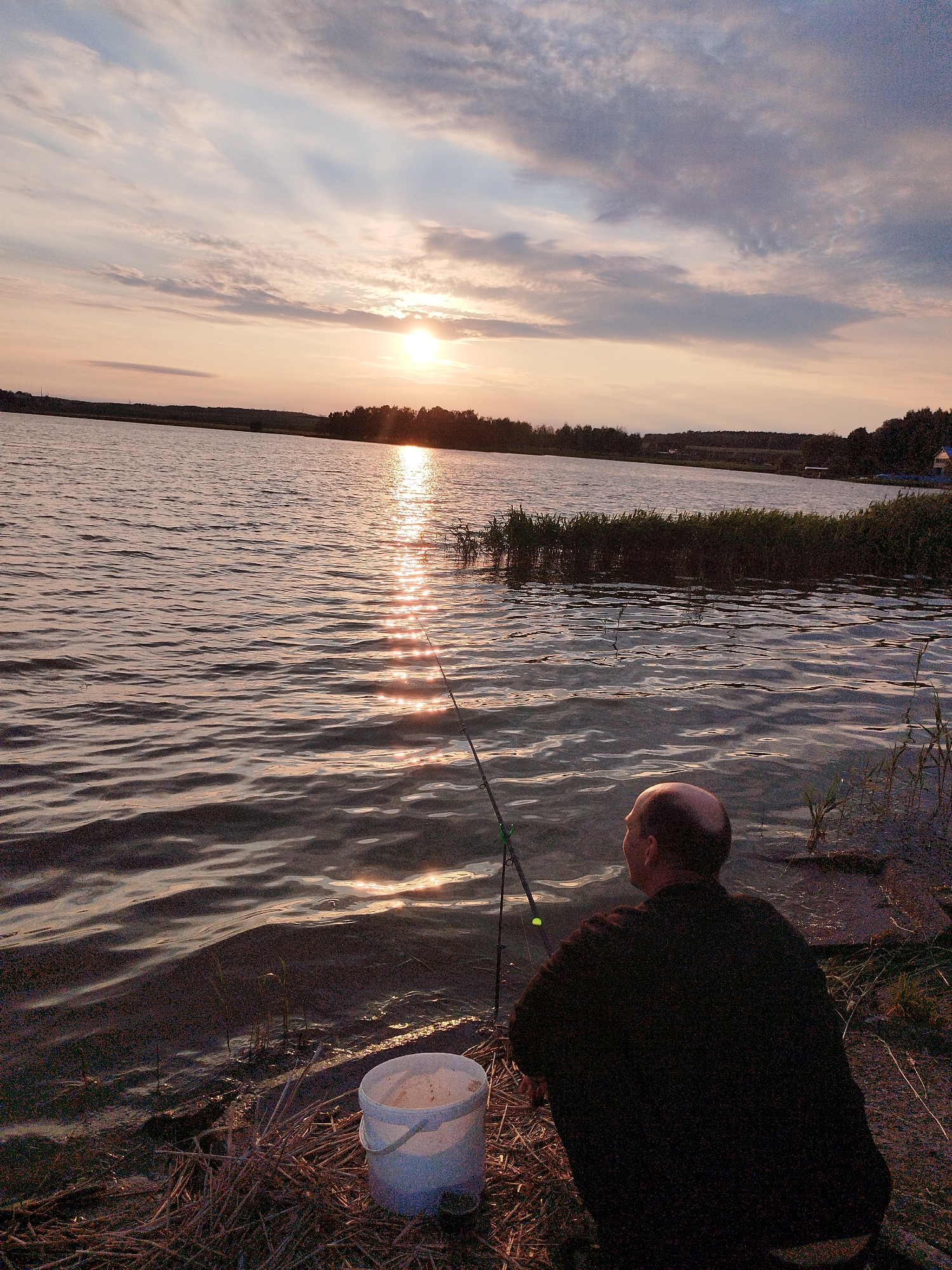 A rear, medium shot captures a bald man in a black shirt crouching beside a body of water, presumably a lake, as he fishes at sunset. The sun, a bright orb with a distinct corona, casts a shimmering golden path across the water's surface. A fishing rod, angled towards the water, is held by the man, and a white bucket rests on the dry reeds at his side. The sky above is a dramatic canvas of soft pinks, oranges, and greys, with clouds streaking across the horizon, silhouetting a distant tree line. The overall impression is one of tranquility and solitude, a peaceful end to the day.