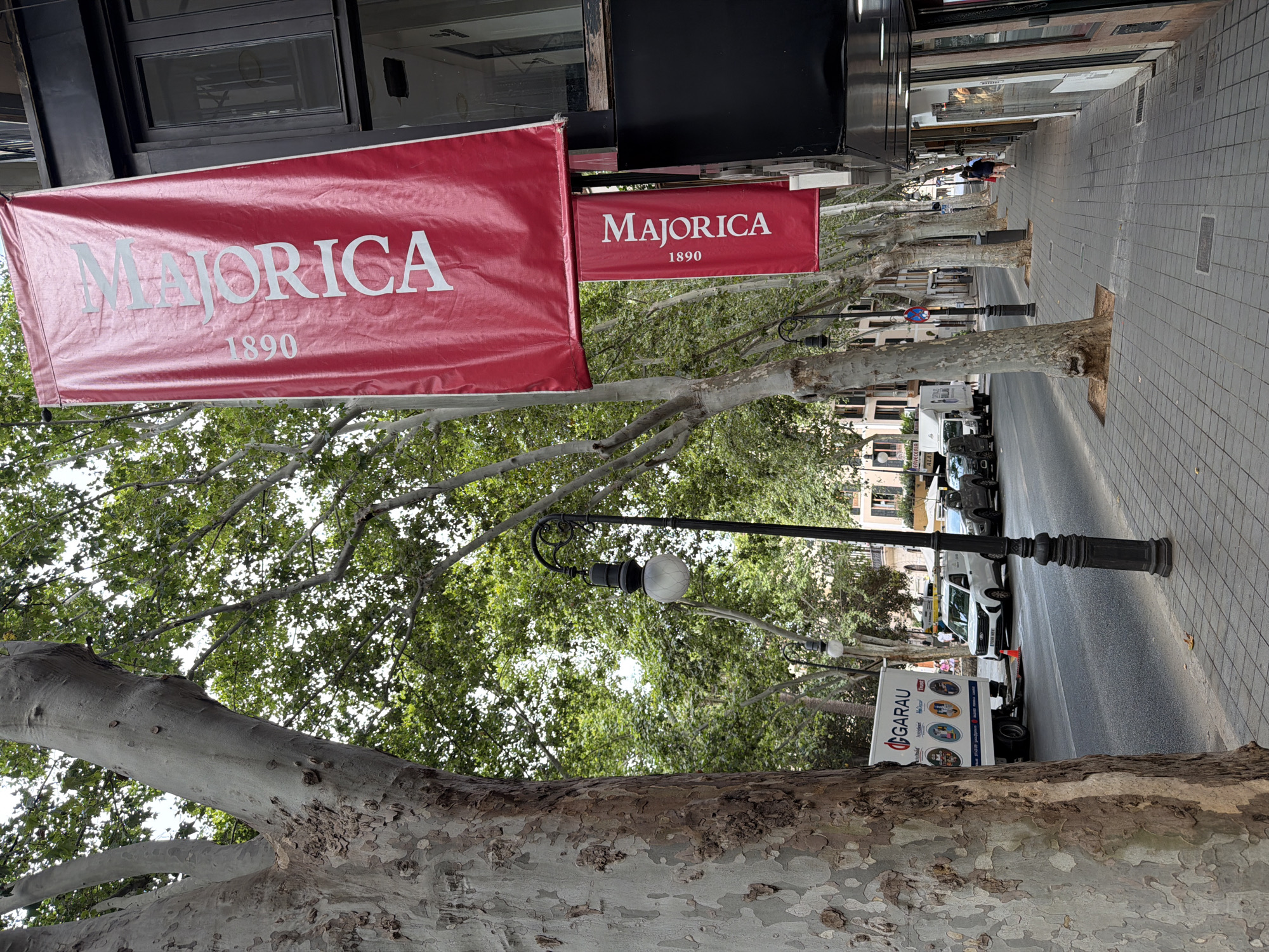 This is a full-frame, eye-level, outdoor shot of a street scene in Palma, Spain, with a focus on the architecture and natural elements. The image features large trees with textured bark lining the sidewalk, casting shadows over the paved walkway. Red banners with white text, reading "MAJORICA 1890," hang from the building on the right. The building itself appears to be a commercial establishment with large windows. A street lamp with a globe-shaped light fixture stands on the sidewalk. Across the street, a white delivery truck with the logo "GARAU" is parked, along with several cars. The street is paved, and there are buildings visible in the background. The sky is overcast.