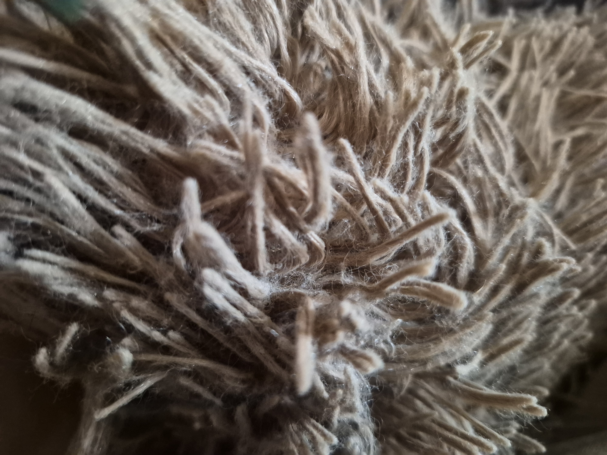 The image is an extreme close-up, macro photograph focusing on a dense, shaggy fibrous material. The primary subject is the intricate texture created by countless individual strands, predominantly in shades of brown, beige, and tan. These fibers vary in thickness and length, often appearing tangled and intertwined, some standing upright while others lie flatter.
The material exhibits a high-pile, fluffy quality, resembling a shaggy rug, a textured blanket, or possibly a microfiber cleaning implement. Fine, almost sparkling particles or dust are visible caught within the fibers, especially in well-lit, sharply focused areas, adding to the tactile detail. The lighting highlights the individual strands and their irregular surfaces, creating subtle variations in tone and shadow across the dense mass.
The shallow depth of field brings certain clusters of fibers into sharp focus, while the areas further away are softly blurred, emphasizing the texture in the foreground. No specific activity or event is taking place; the image is a static capture of a textured surface. There are no discernible objects beyond the fibrous material itself. The context of "Yerevan, Armenia" is provided, but no visual cues within the image itself denote this location. No text is visible in the image, and there are no indicators of time of day or weather. The overall impression is one of rich, detailed, and organic texture.