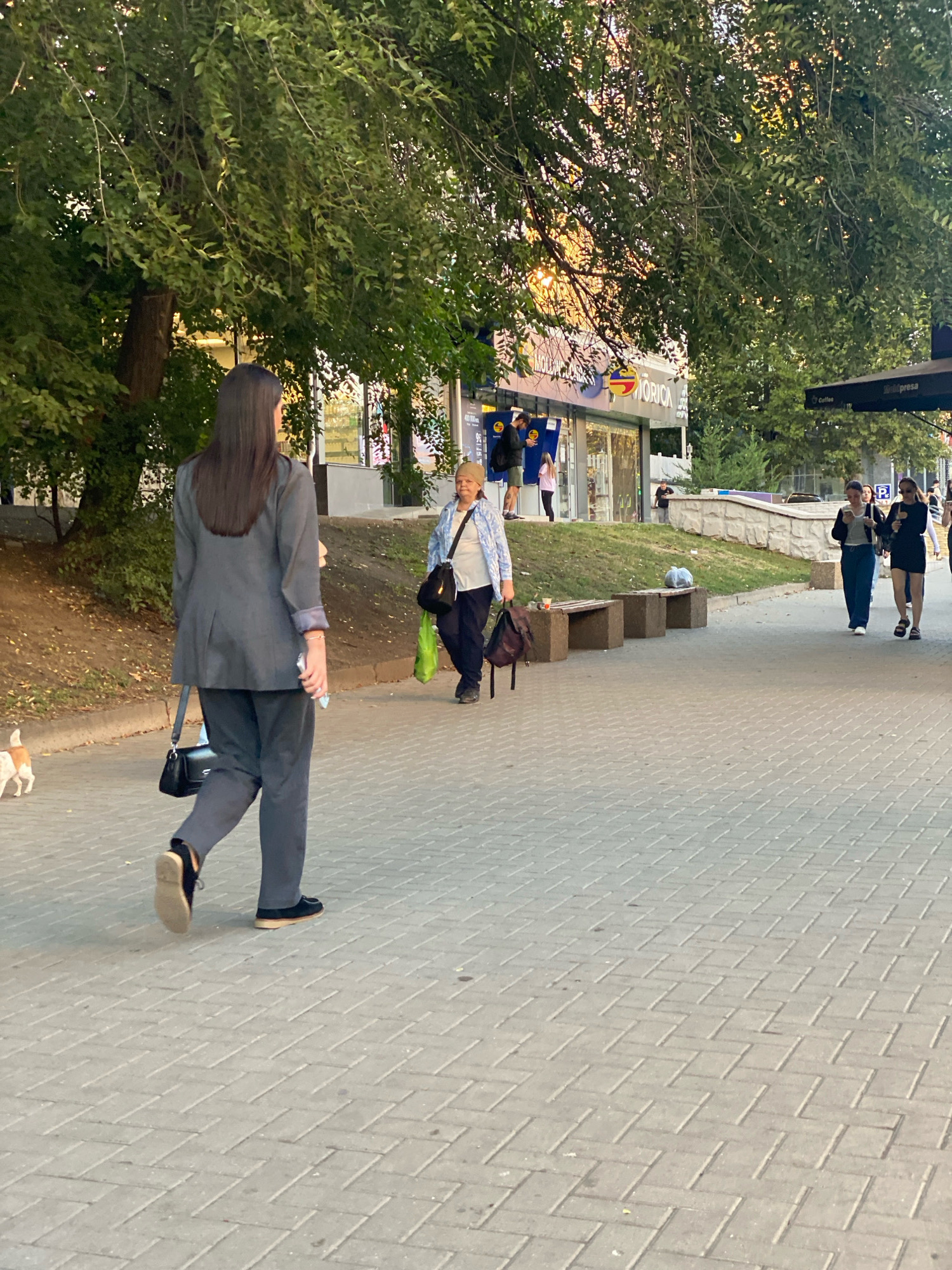 A person in a gray suit walks on a brick sidewalk. In the background, a woman in a blue and white patterned shirt and dark pants carries a green plastic bag and a dark brown bag. Further in the background, other pedestrians walk along the sidewalk. Businesses with awnings and signage are visible behind the pedestrians. Trees with green leaves line the sidewalk, and the scene appears to be in an urban park or pedestrian area. The lighting suggests it is late afternoon or early evening.