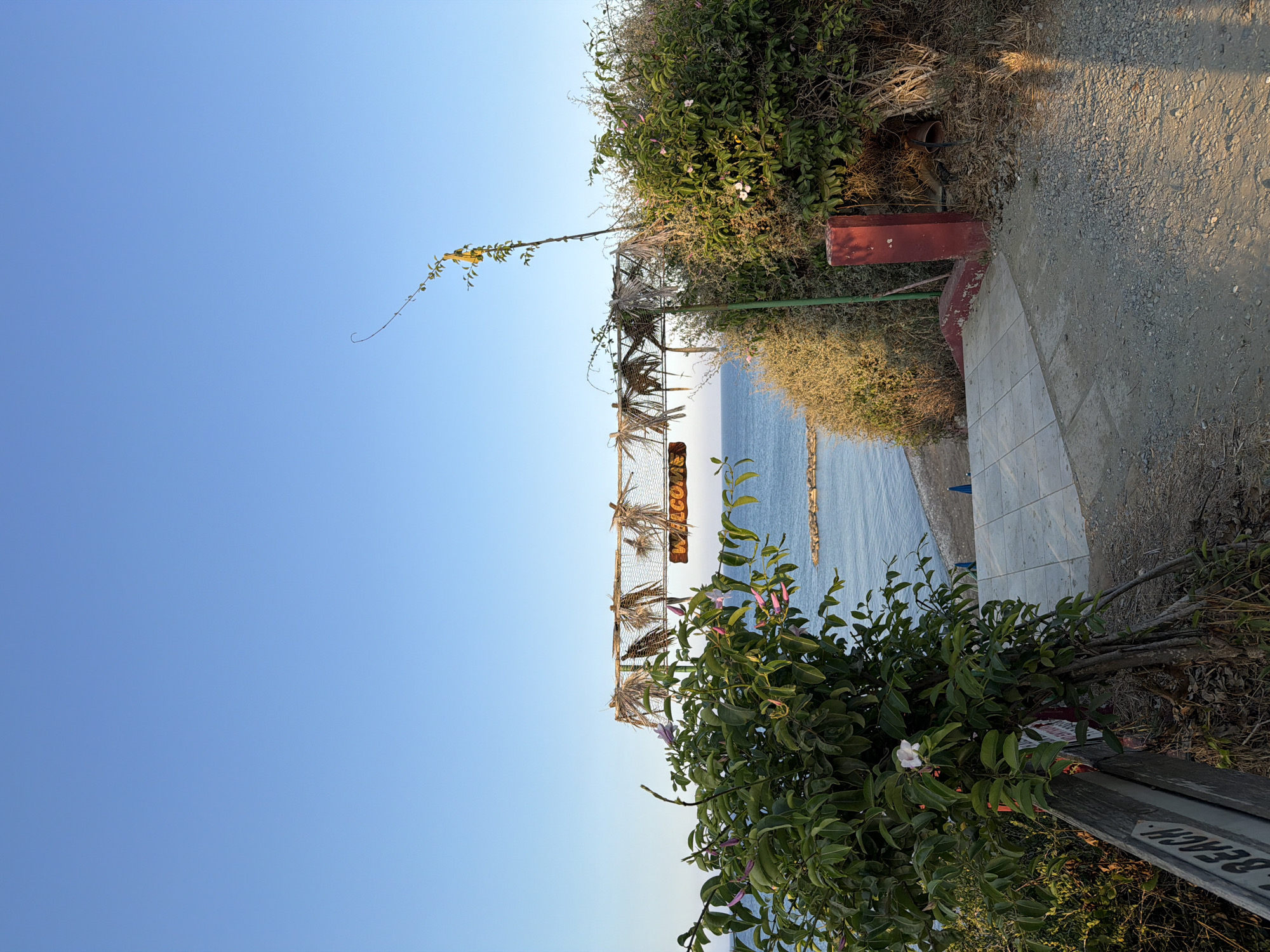 A pathway leads down a slight incline towards a beach in Meneou, Cyprus. An archway constructed of branches and netting, decorated with palm fronds, spans the path, bearing a wooden sign that reads "WELCOME" in orange lettering. Beyond the arch, the calm blue sea stretches to the horizon under a clear, pale blue sky. The beach itself is pebbly, with a few blue beach umbrellas visible in the distance. Lush green bushes with pink and white flowers flank the pathway, and a weathered wooden bench with partially visible text on its side stands to the left of the path. The environment is sunlit, suggesting a warm day.