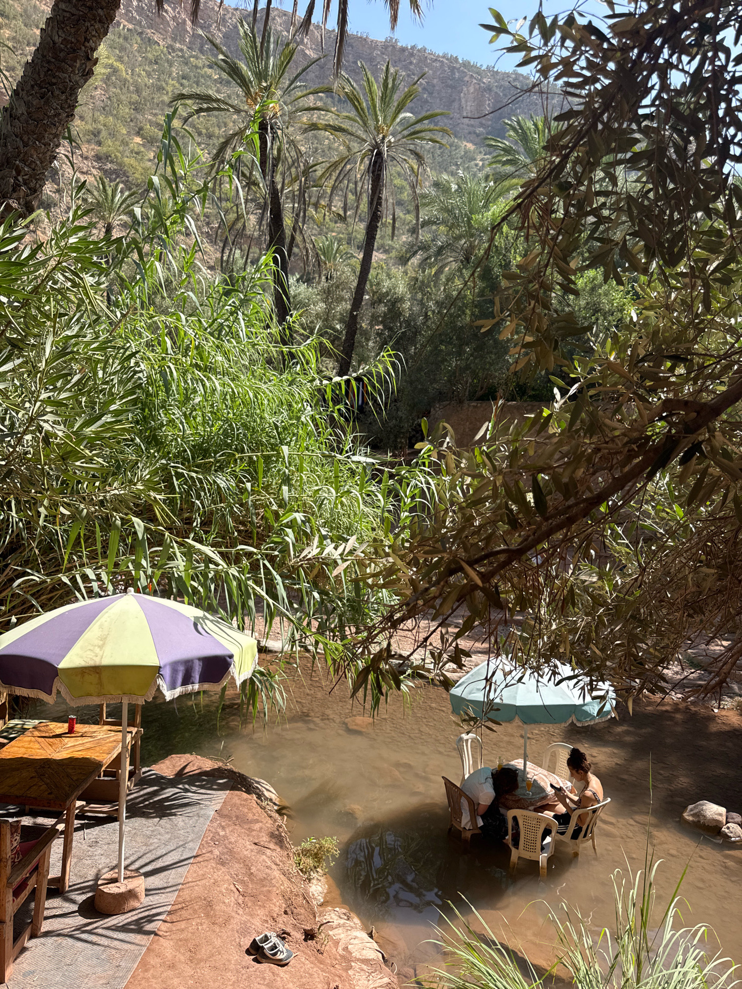 In Aqesri, Morocco, a shaded outdoor dining area is set beside a shallow, brown river surrounded by lush greenery and palm trees. On the left, a wooden table with a checkered tablecloth is covered by a purple and lime green umbrella. A single red can sits on the table. To the right, in the river, a white umbrella shades a round table where two individuals are seated. One person is bent over the table, while the other, a woman with dark hair, looks at a phone. The scene is bathed in sunlight, casting shadows from the foliage onto the ground. A pair of sandals lies on the reddish-brown bank of the river.
