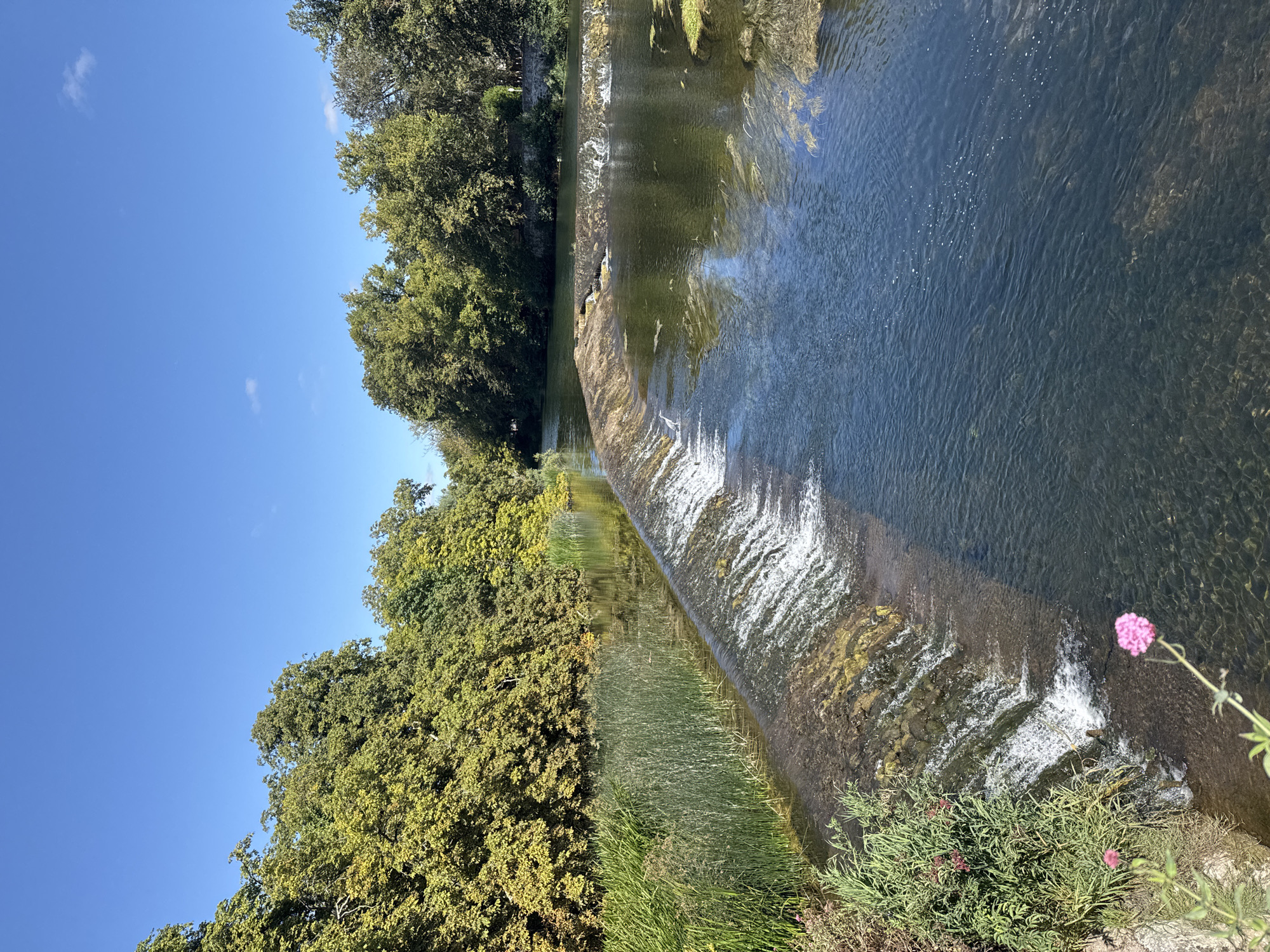 A wide, clear blue sky with a few wispy clouds dominates the top of the image. Below, a dense line of lush green trees, with some hints of yellow foliage, forms a natural border along the left bank of a tranquil river. The river itself is a dark, reflective surface, broken by a man-made weir constructed of stones and rocks. White water cascades over the weir, creating a foamy, dynamic effect. On the left bank, tall green reeds and grasses grow abundantly, interspersed with a few delicate pink wildflowers. A single white egret stands motionless in the shallow water near the weir. The overall scene depicts a serene natural environment. This location is the River Suir in Cahir, Ireland, with the weir likely being part of the landscape near Cahir Castle.