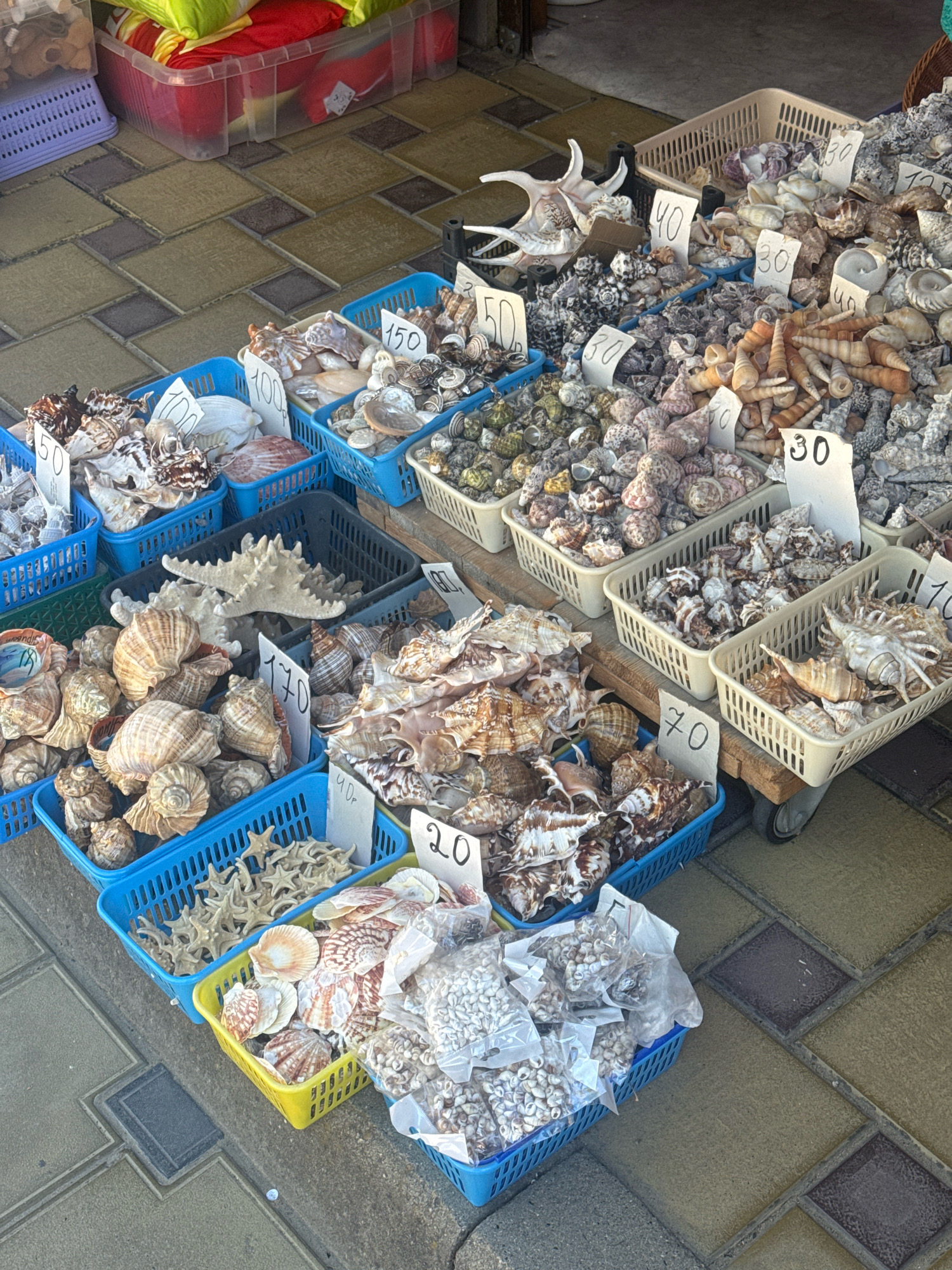 A street market stall in Anapa, Russia, displays a variety of seashells for sale. The shells are arranged in multiple plastic baskets of various colors, including blue, yellow, and white. Some baskets are filled with large, prominent shells, while others contain smaller, more numerous shells. Several price tags are visible, with prices indicated as "50", "100", "150", "30", "40", "70", and "20". The stall is set up on a paved surface, likely a sidewalk or promenade, with square paving stones. In the background, there are some large plastic containers holding colorful items, possibly merchandise or storage. The scene suggests a typical tourist-oriented market.