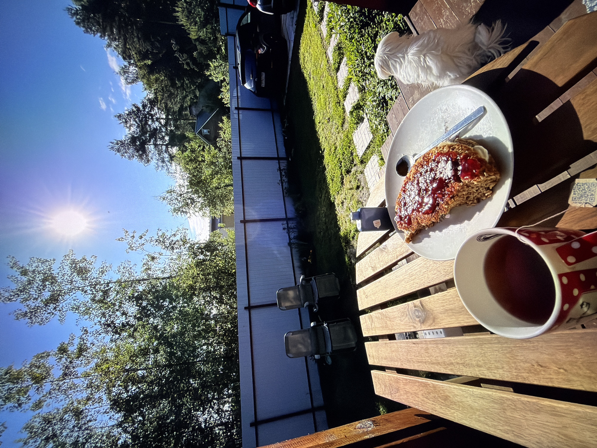 The image depicts a sunny outdoor scene with a wooden picnic table in the foreground, set for a meal. A mug of dark liquid, likely tea, sits on the left side of the table. To its right, a plate holds a piece of food topped with red jam and white cream, with a spoon resting on the plate. A small, white, fluffy dog is visible on the right side of the table, looking away from the camera.
Behind the table, a green lawn is visible, bordered by a white and brown fence. Two empty lounge chairs are placed on the lawn near the fence. Beyond the fence, trees and a dark-colored SUV are present. A residential building with a dark roof and a chimney is partially visible amongst the trees in the background. The sun is shining brightly in the clear blue sky.
The scene appears to be in a backyard or garden area. Based on the provided information, this location is in Kotelniki, Russia.