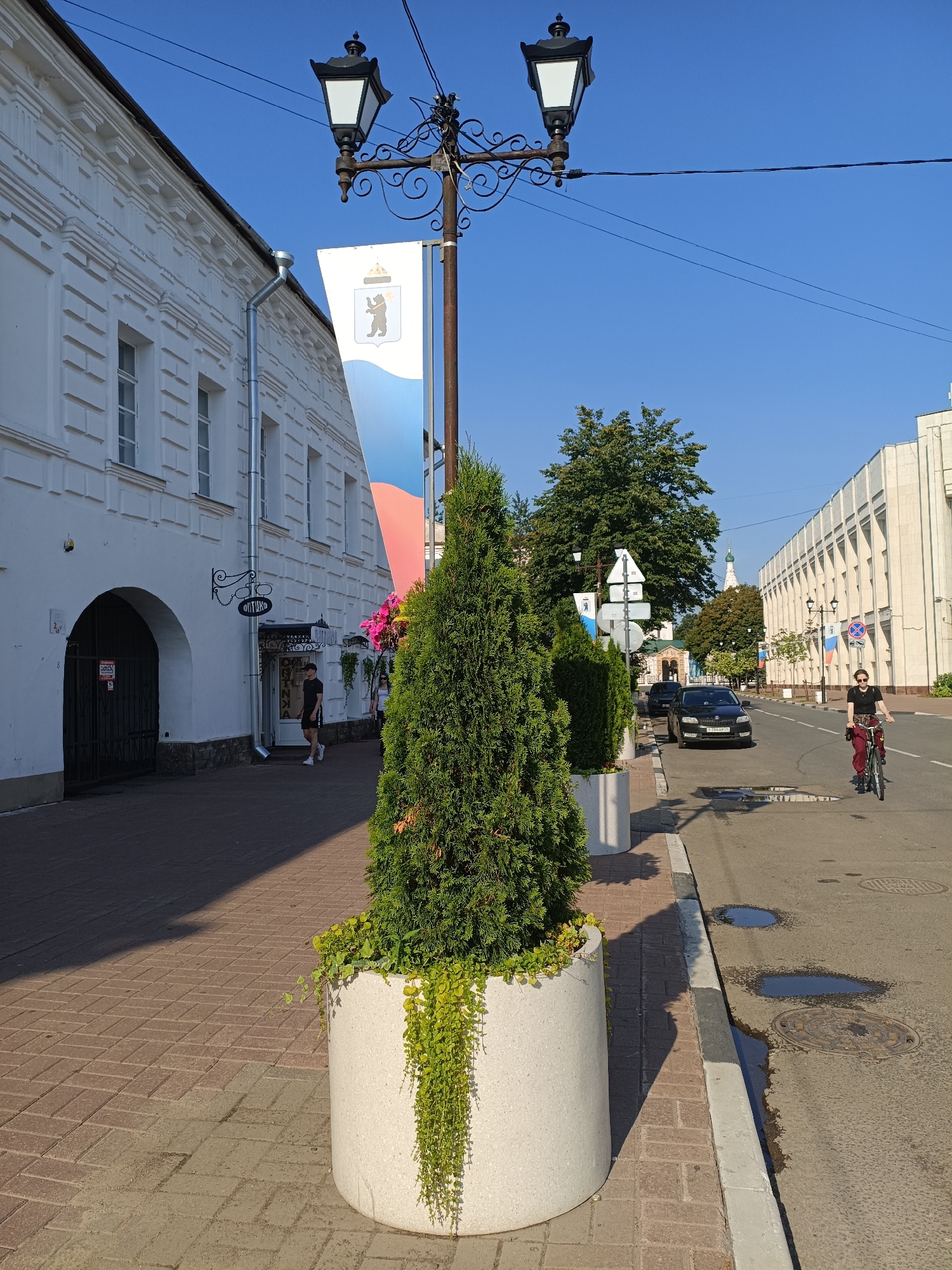 The image depicts a street scene in Yaroslavl, Russia. On the left, a white building with arched doorways and windows lines the sidewalk. A street lamp with two lights stands prominently near the building, and a banner hangs from its pole, featuring a coat of arms with a bear. Several large, white cylindrical planters with evergreen trees and trailing green plants are placed along the sidewalk.
The sidewalk is paved with brick. A person in a dark t-shirt and shorts walks on the sidewalk, and another person in a dark t-shirt and maroon pants rides a bicycle on the street. The street is asphalt and has some puddles. Cars are parked on the side of the street and one black car is driving on the road.
In the background, there are more buildings, trees, and a clear blue sky. The overall impression is a sunny day in a European-style city.