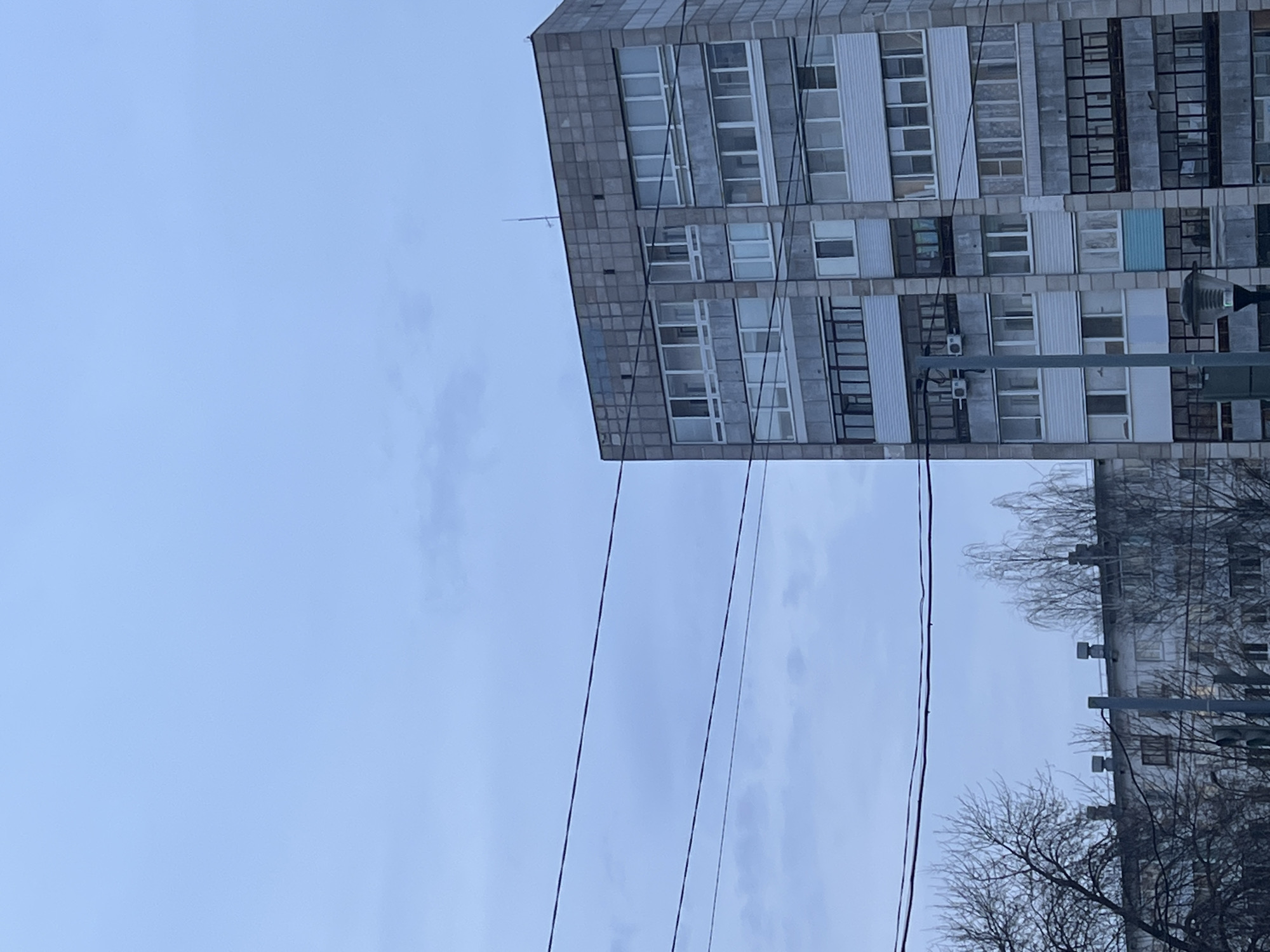 The image presents an urban landscape in Chaikovsky, Russia, under an overcast, light blue-grey sky. The right half of the frame is dominated by a multi-story building featuring a grey, panelized concrete facade with numerous windows. Some windows have white frames, others dark, and several levels include dark-framed balconies or external air conditioning units. A thin antenna or lightning rod is visible on the building's roof. In the lower-left quadrant, bare deciduous tree branches partially obscure a lighter-colored, multi-story building with smaller windows and multiple rooftop vents. Several dark utility wires traverse the upper and mid-sections of the scene horizontally. A dark street lamp with a conical shade is visible in the lower-center, alongside a partially visible traffic light pole. No individuals are present, and no actions or interactions are depicted.